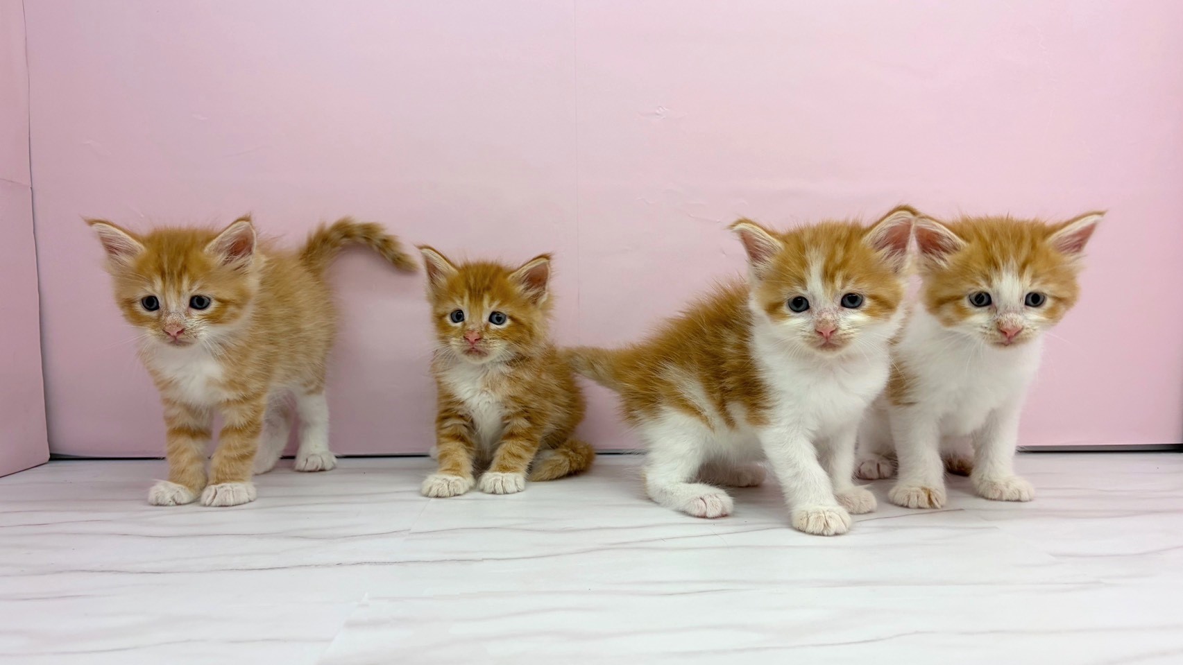 赤ちゃん写真2-3
