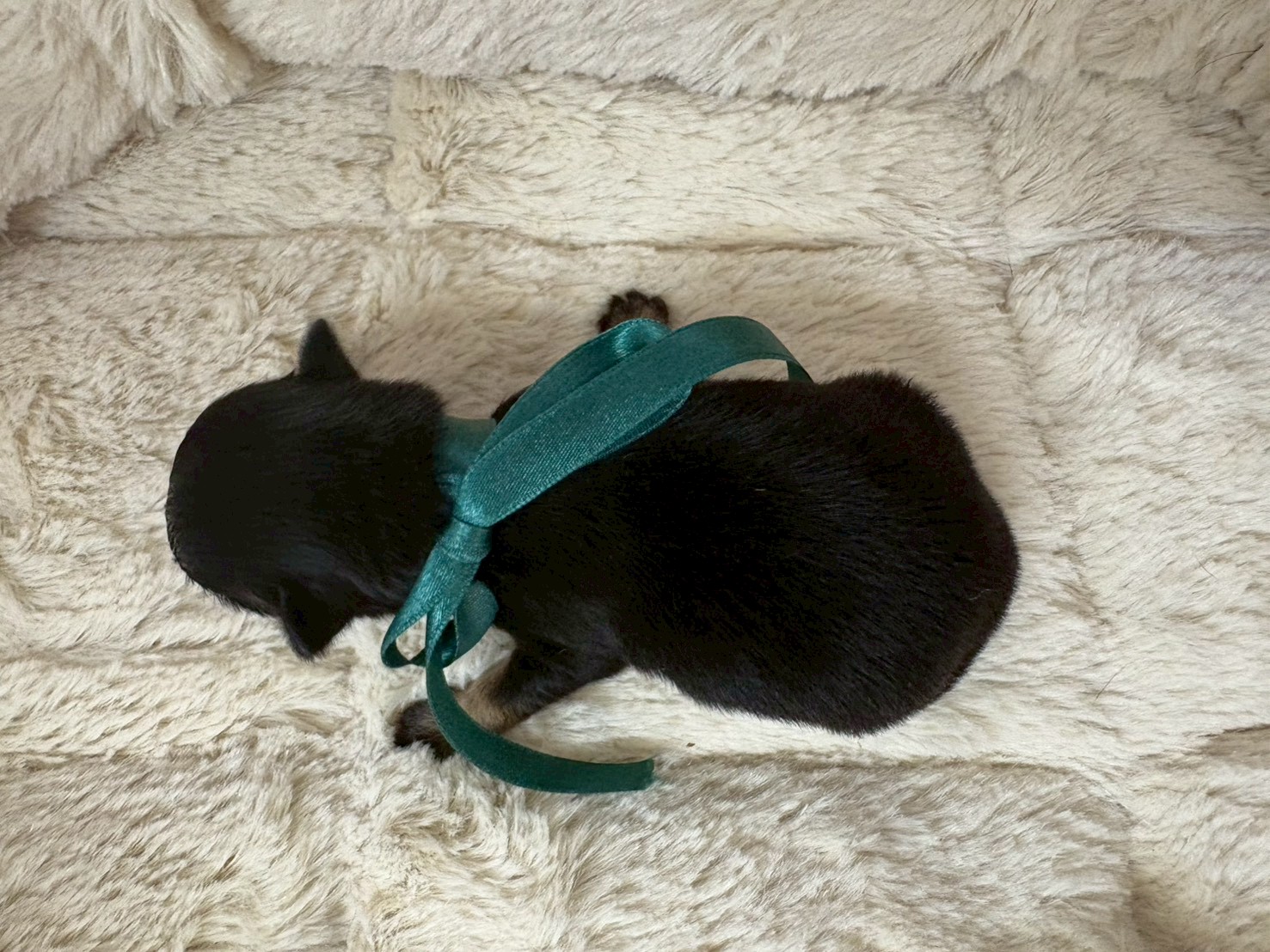 赤ちゃん写真1-3