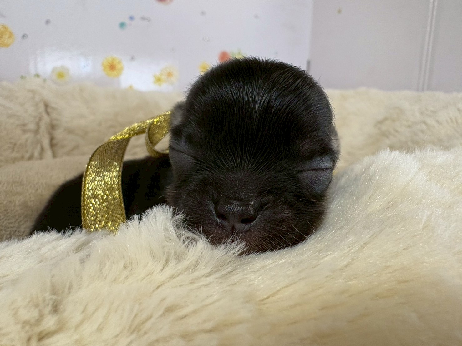 赤ちゃん写真1-1