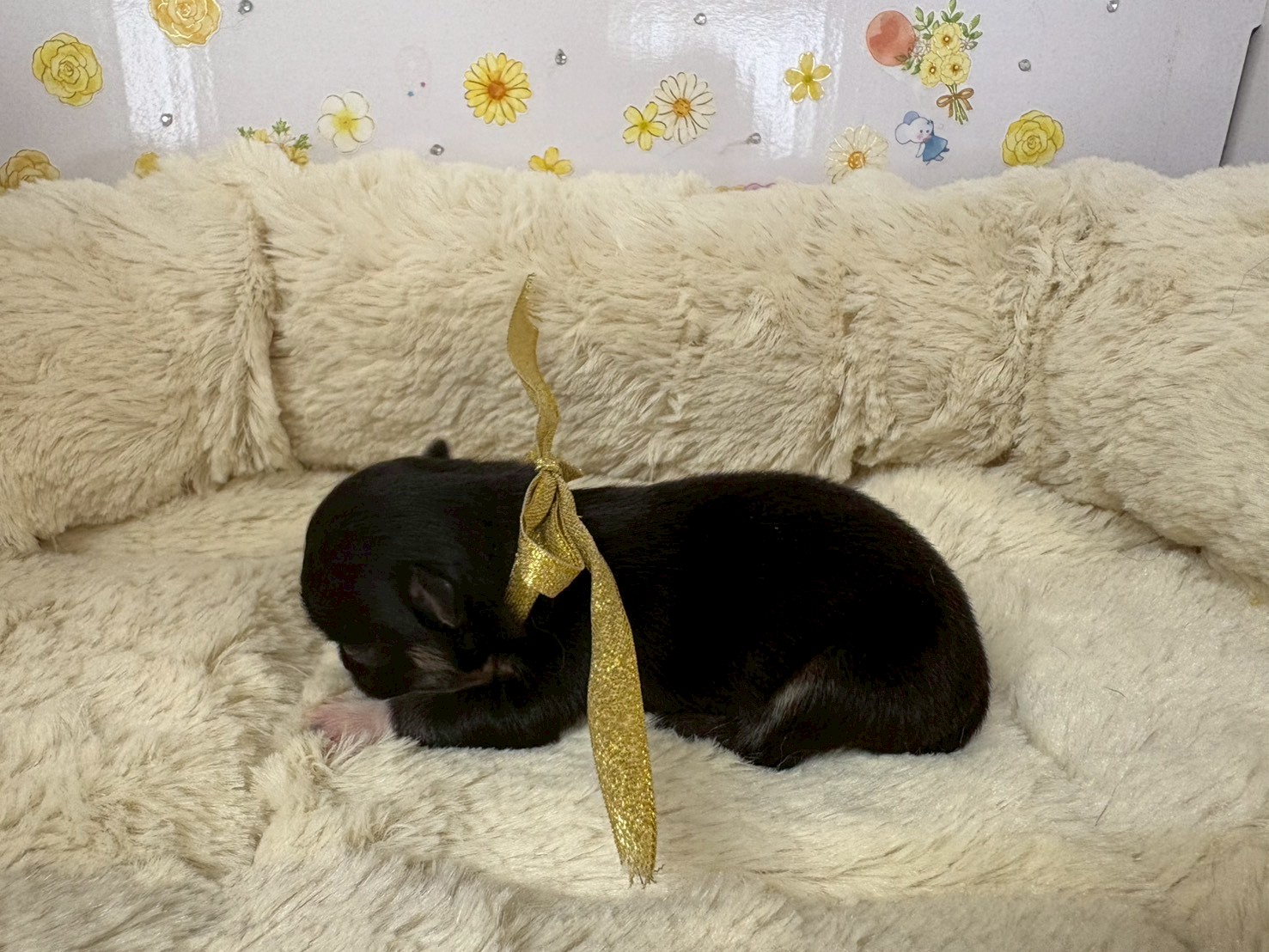 赤ちゃん写真1-2