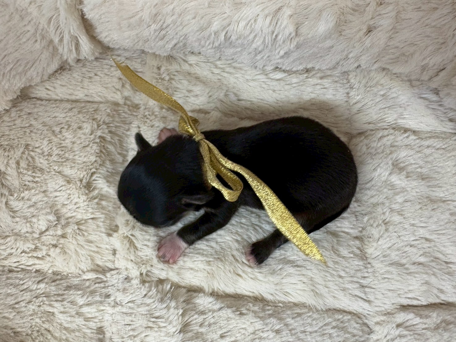 赤ちゃん写真1-3