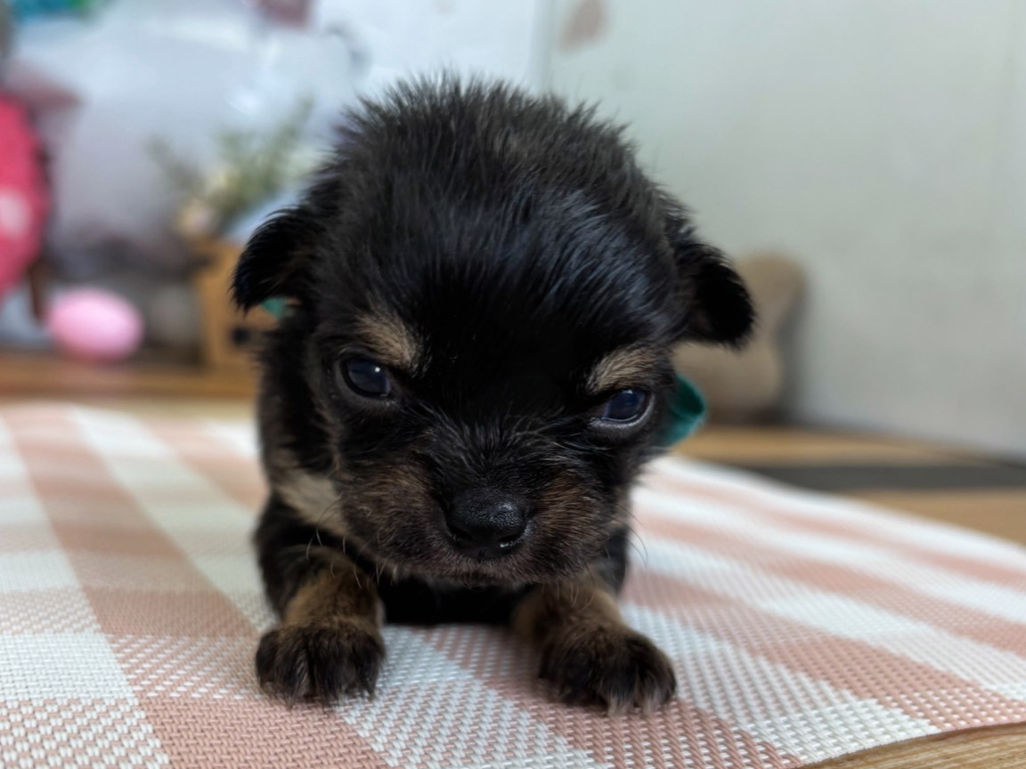 赤ちゃん写真2-1