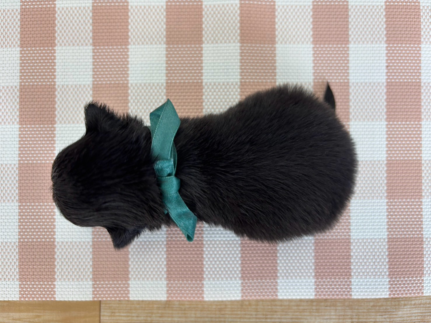赤ちゃん写真2-3
