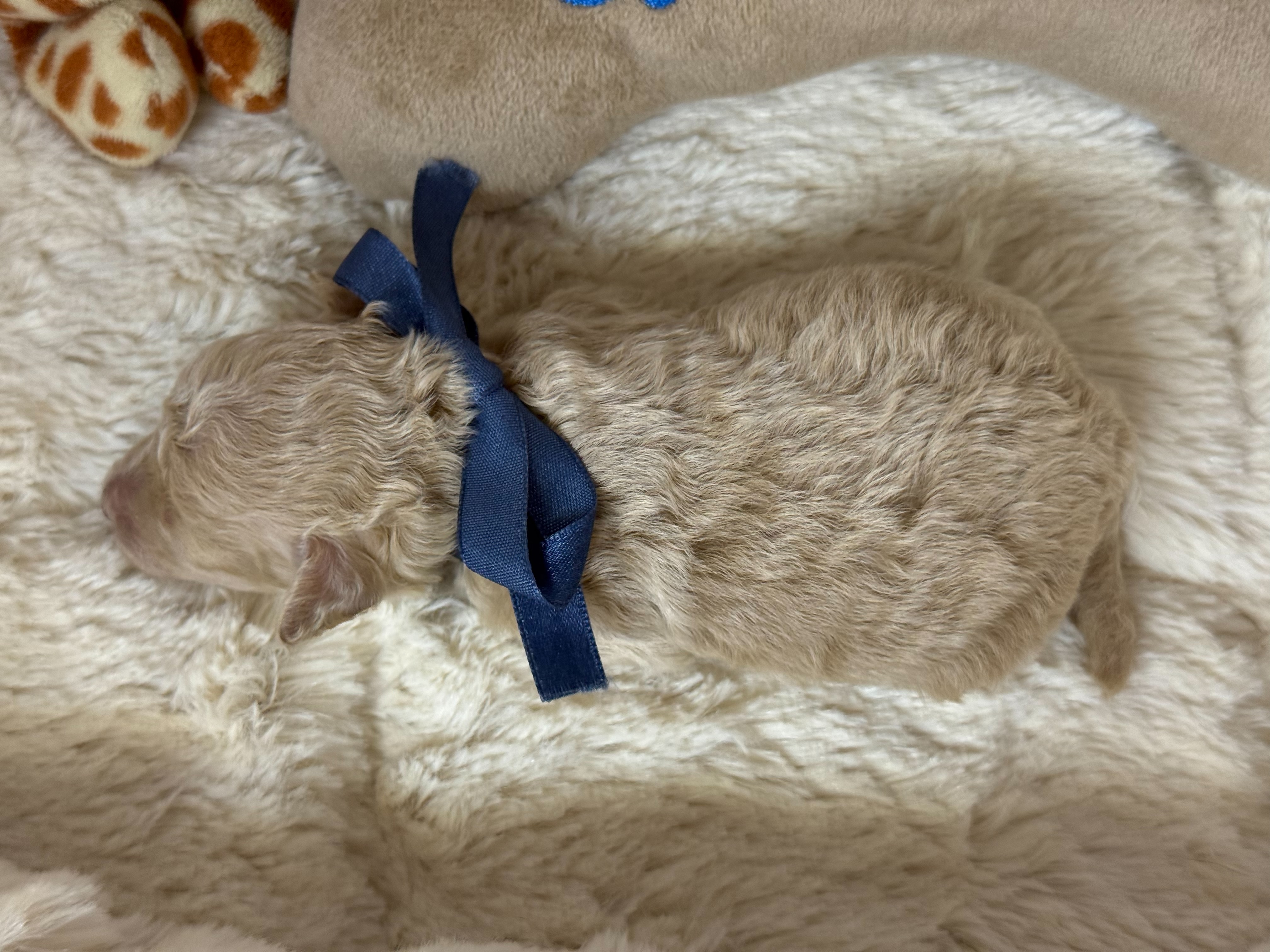 赤ちゃん写真1-3