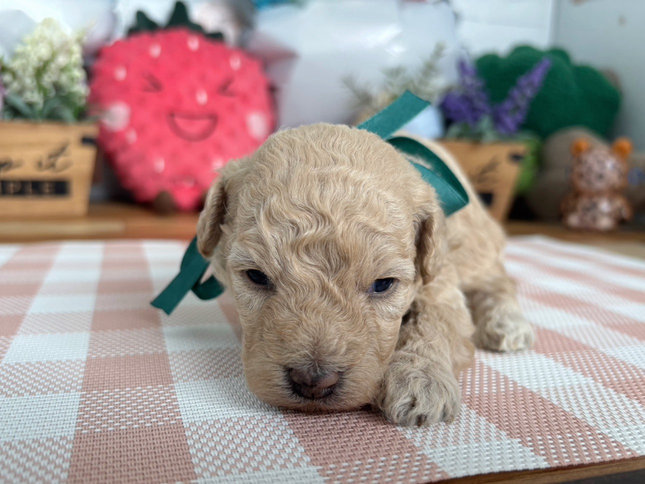 赤ちゃん写真2-1