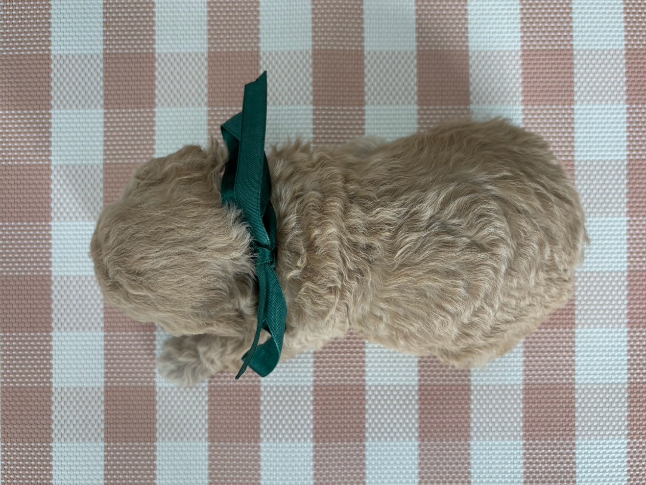 赤ちゃん写真2-3