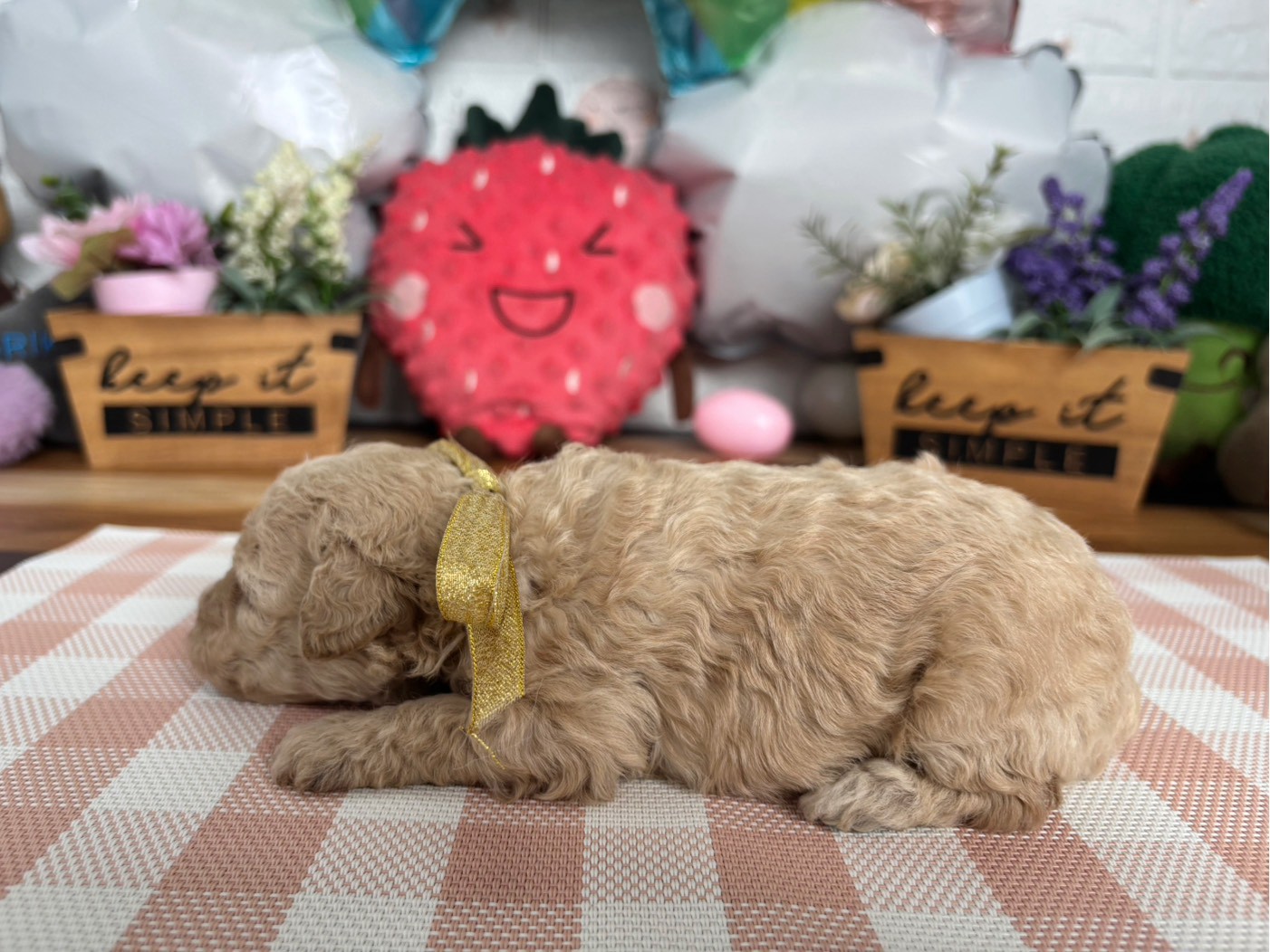 赤ちゃん写真2-2