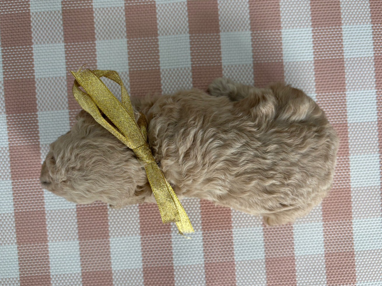 赤ちゃん写真2-3