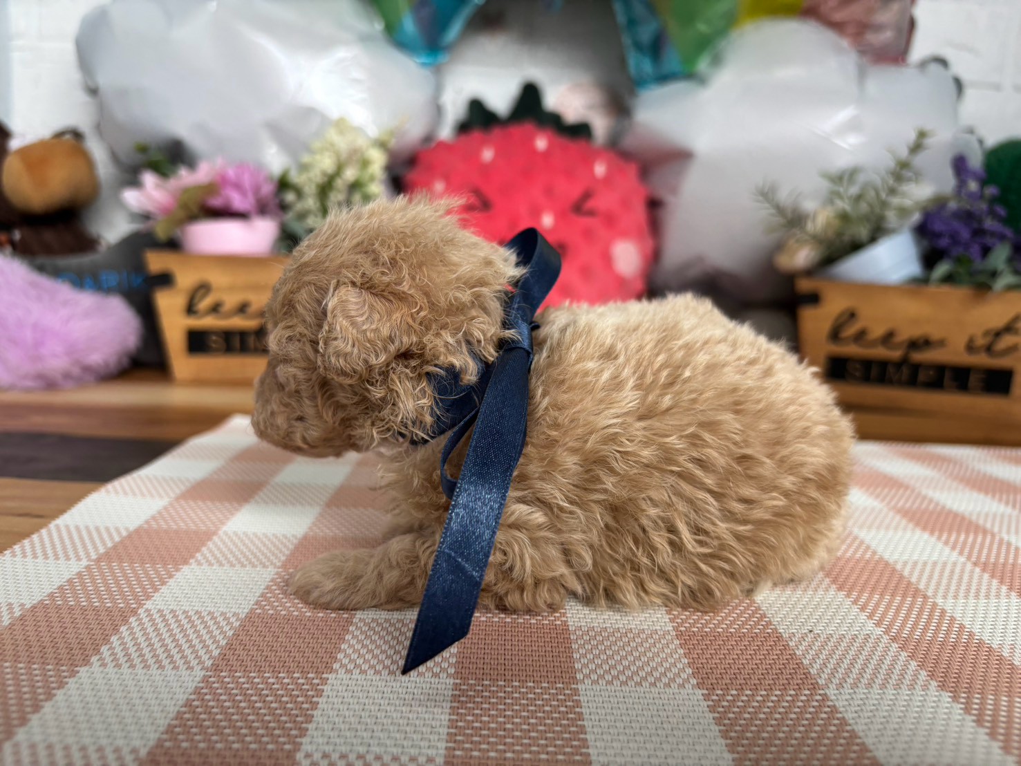 赤ちゃん写真2-2