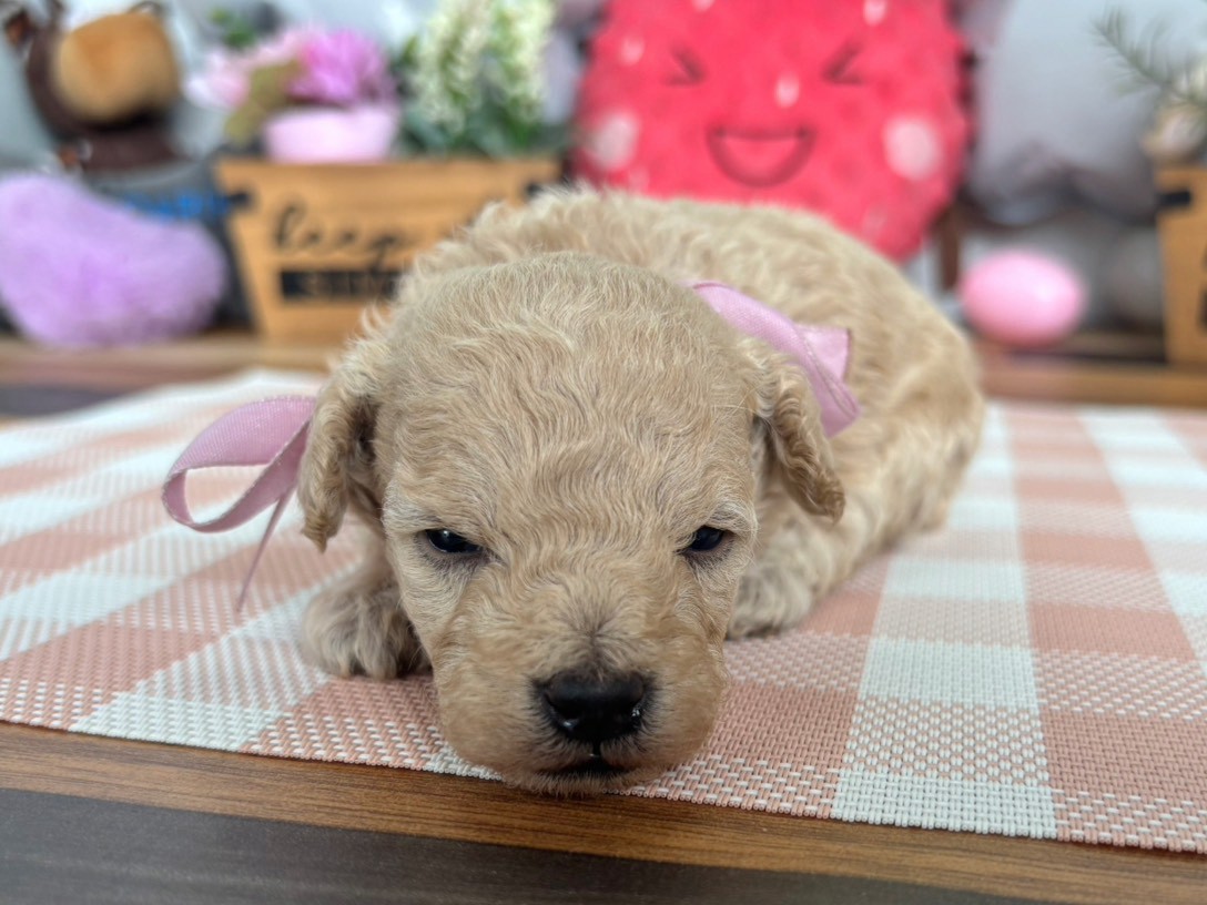 赤ちゃん写真2-1
