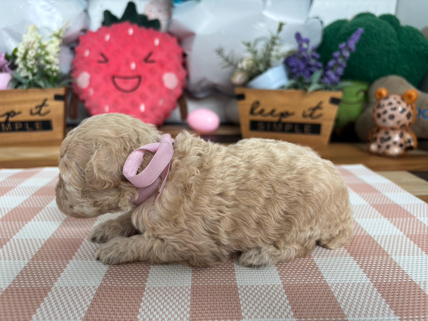 赤ちゃん写真2-2