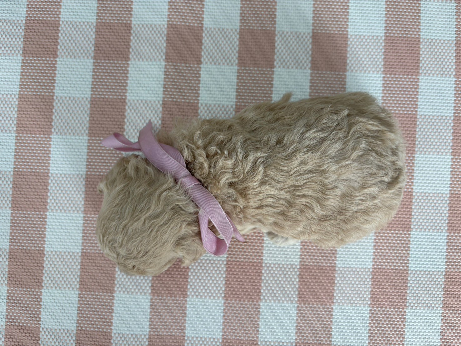 赤ちゃん写真2-3