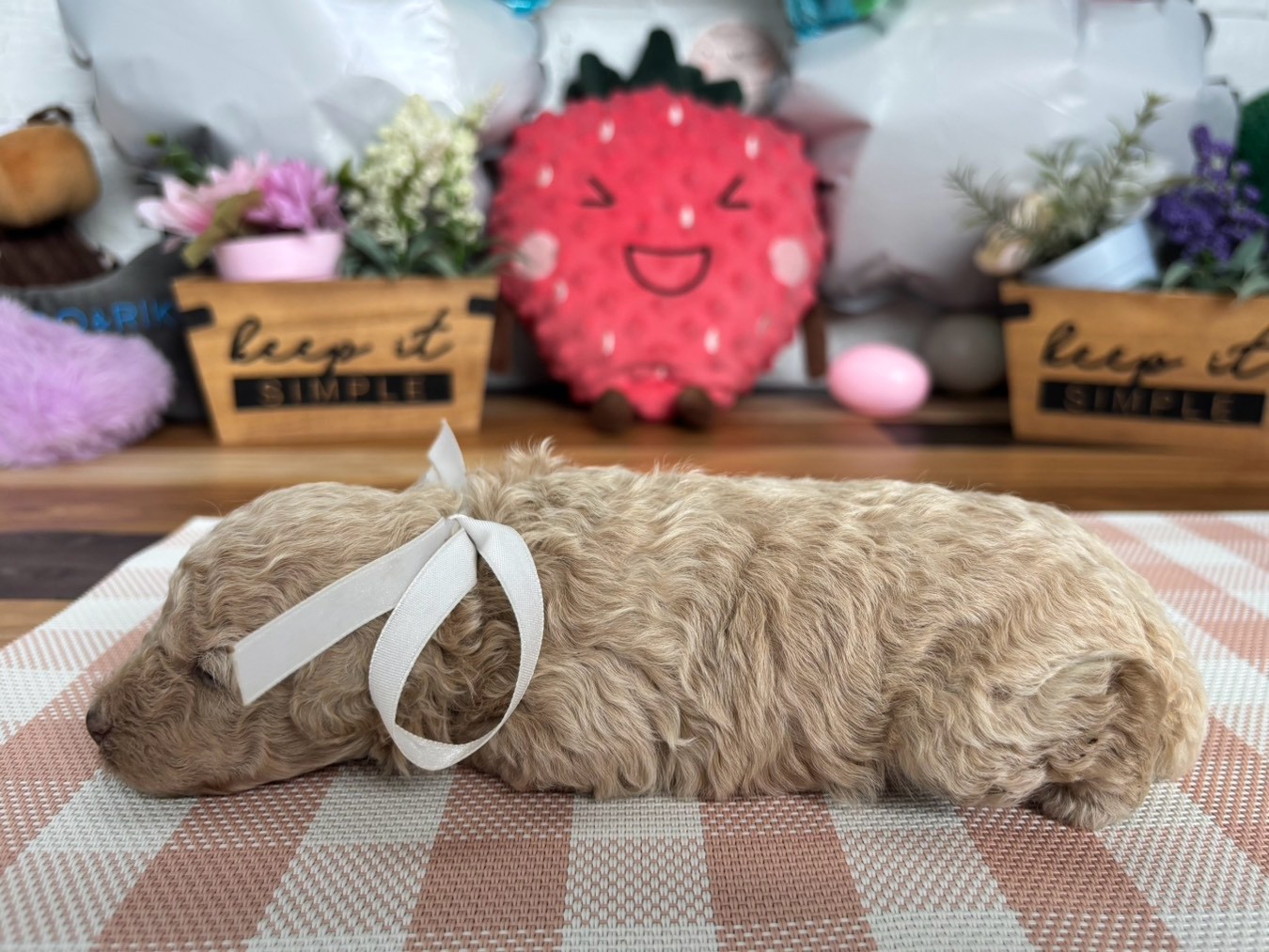 赤ちゃん写真2-2