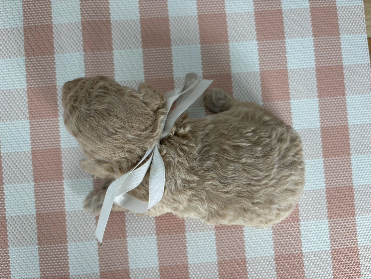 赤ちゃん写真2-3