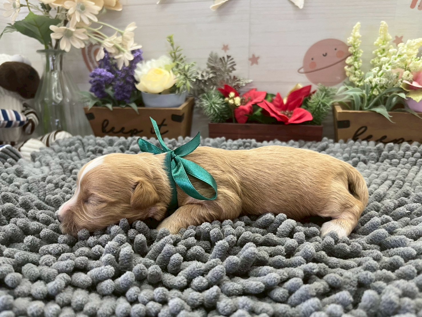 赤ちゃん写真1-2