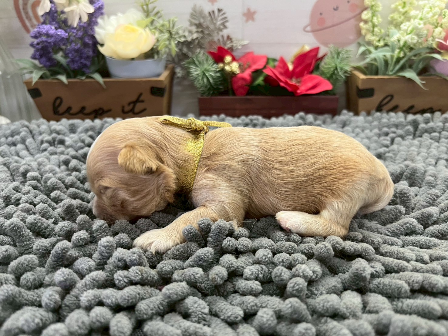 赤ちゃん写真1-2