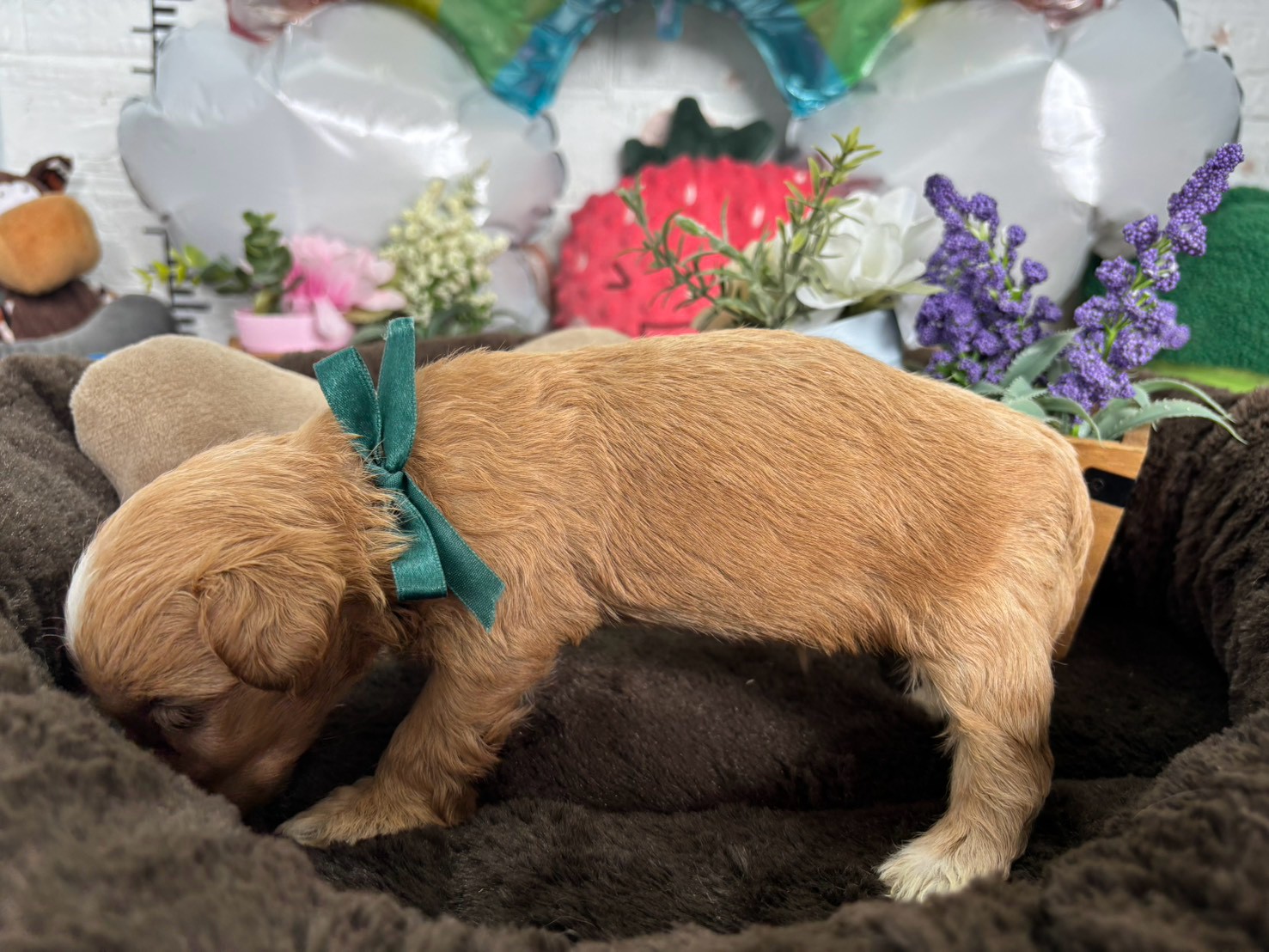 赤ちゃん写真2-2