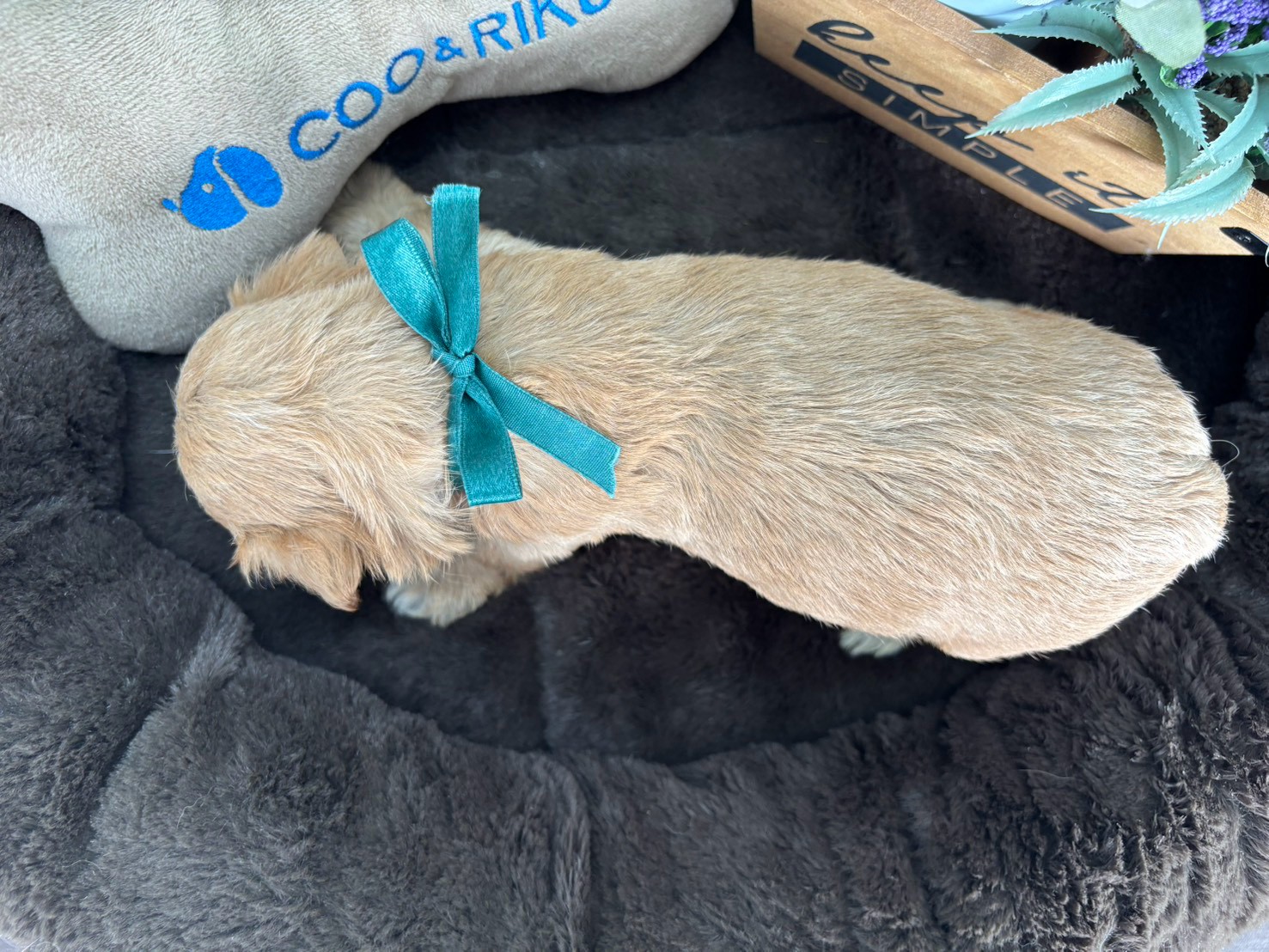 赤ちゃん写真2-3