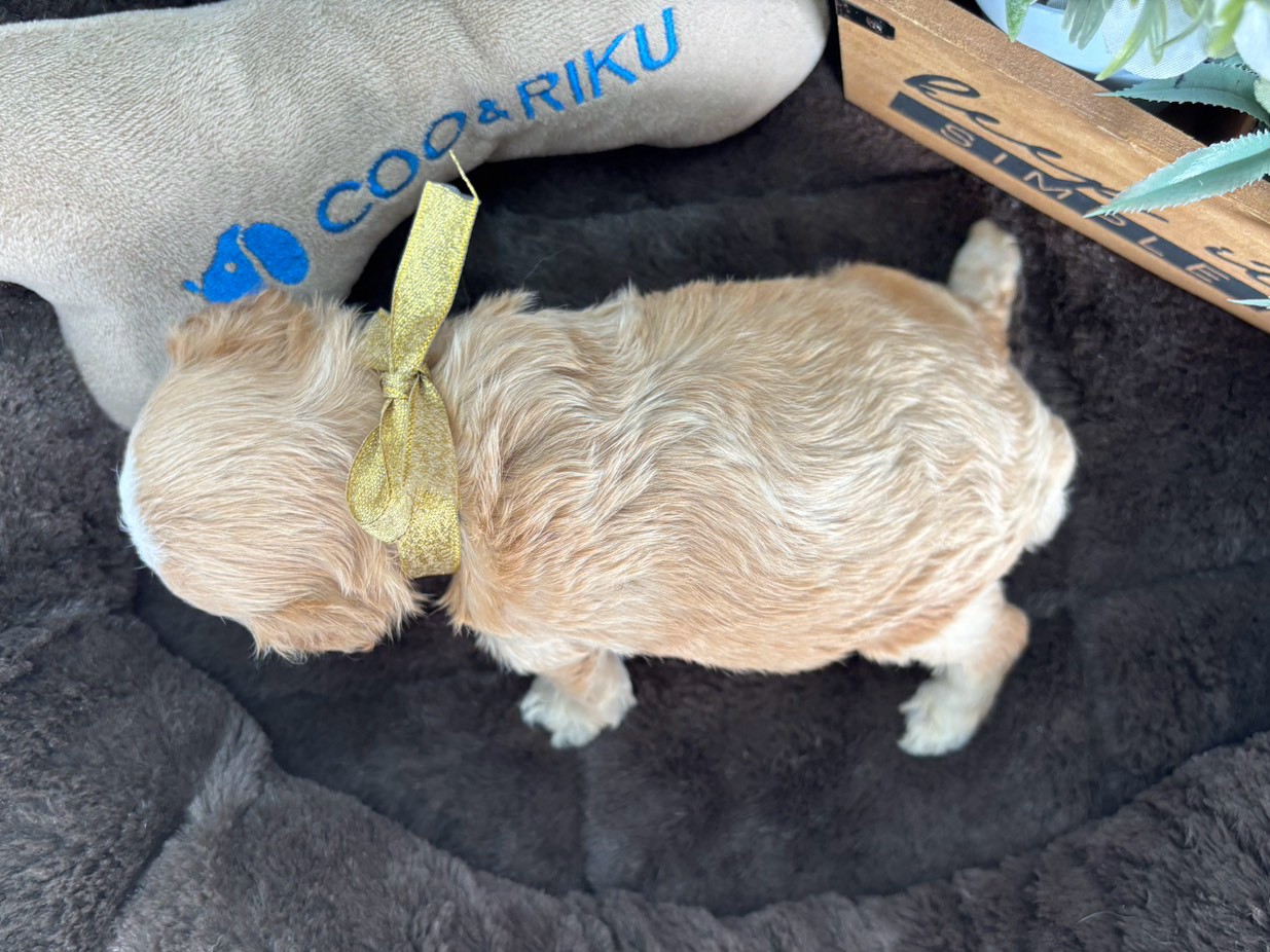 赤ちゃん写真2-3