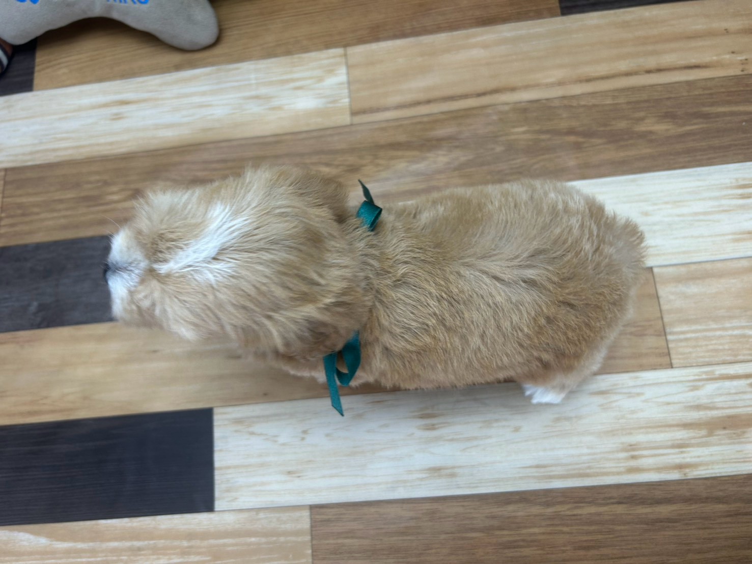 赤ちゃん写真3-3