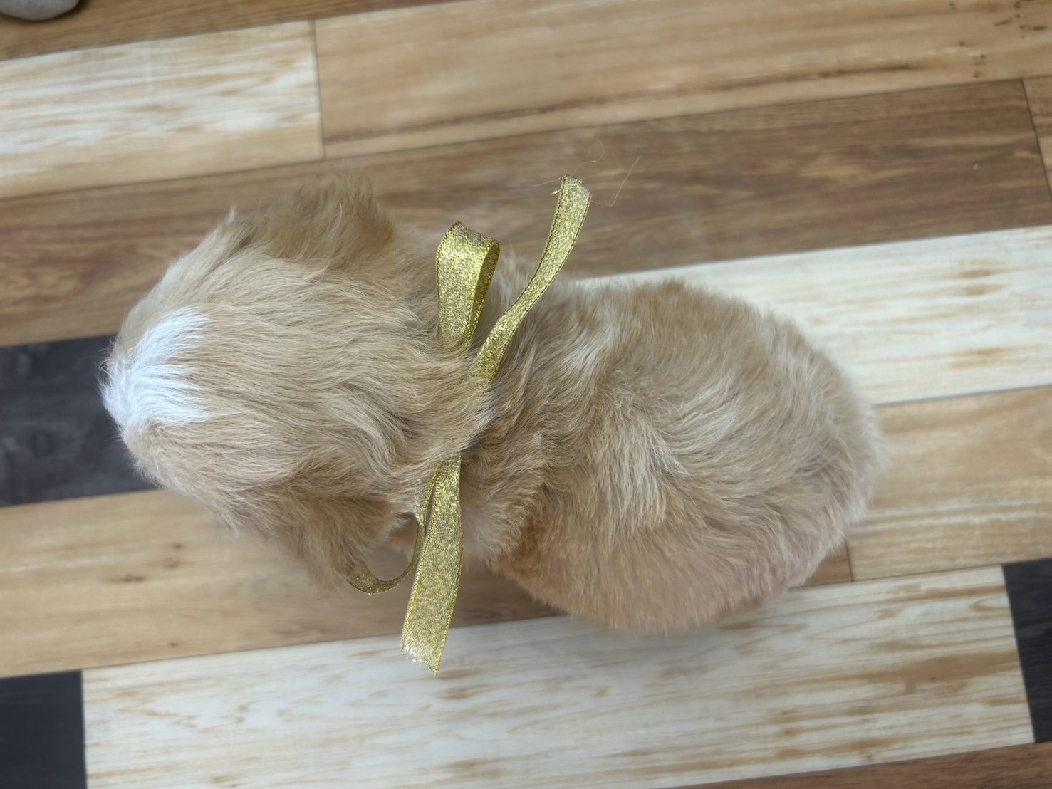 赤ちゃん写真3-3