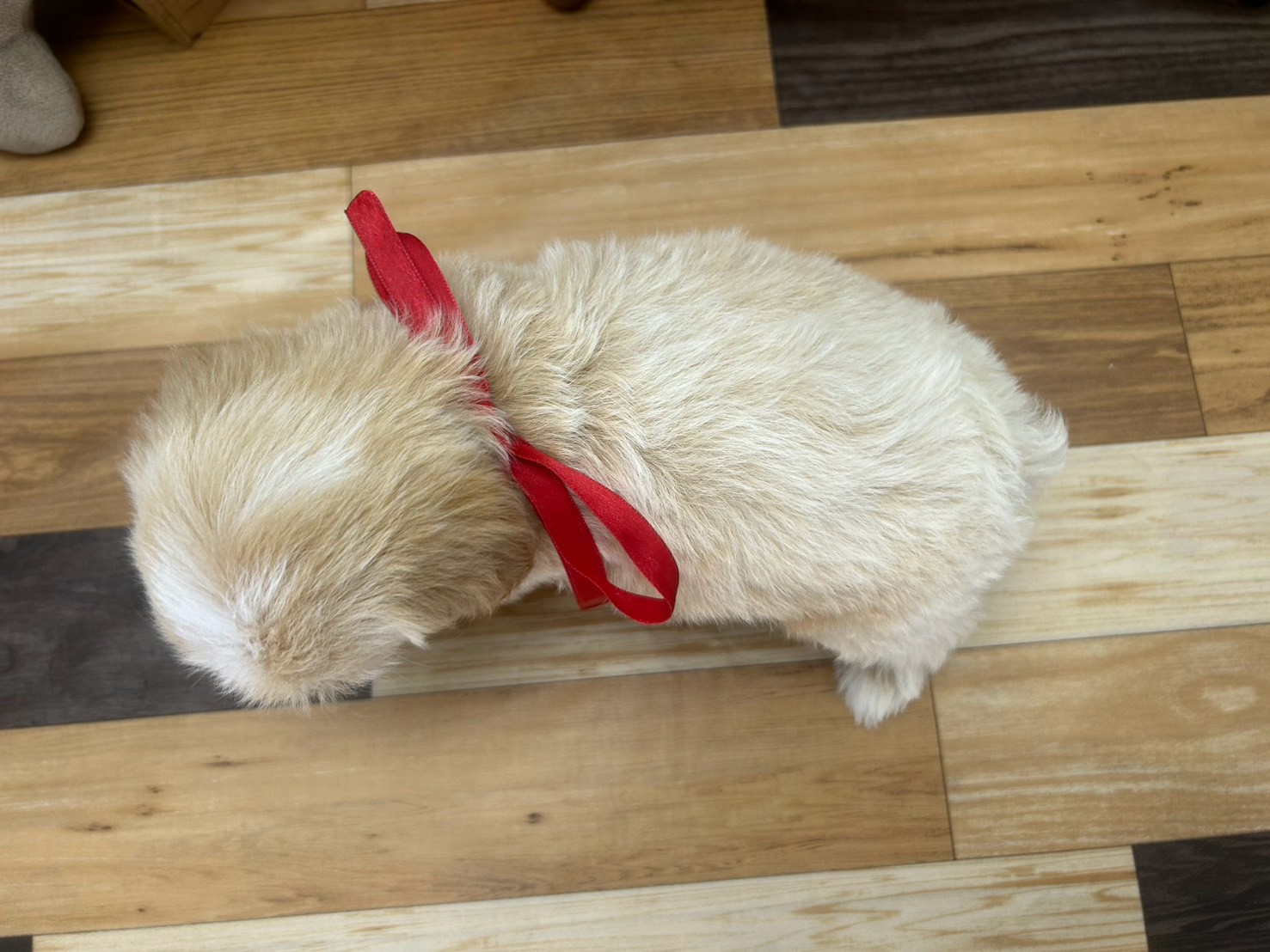 赤ちゃん写真3-3