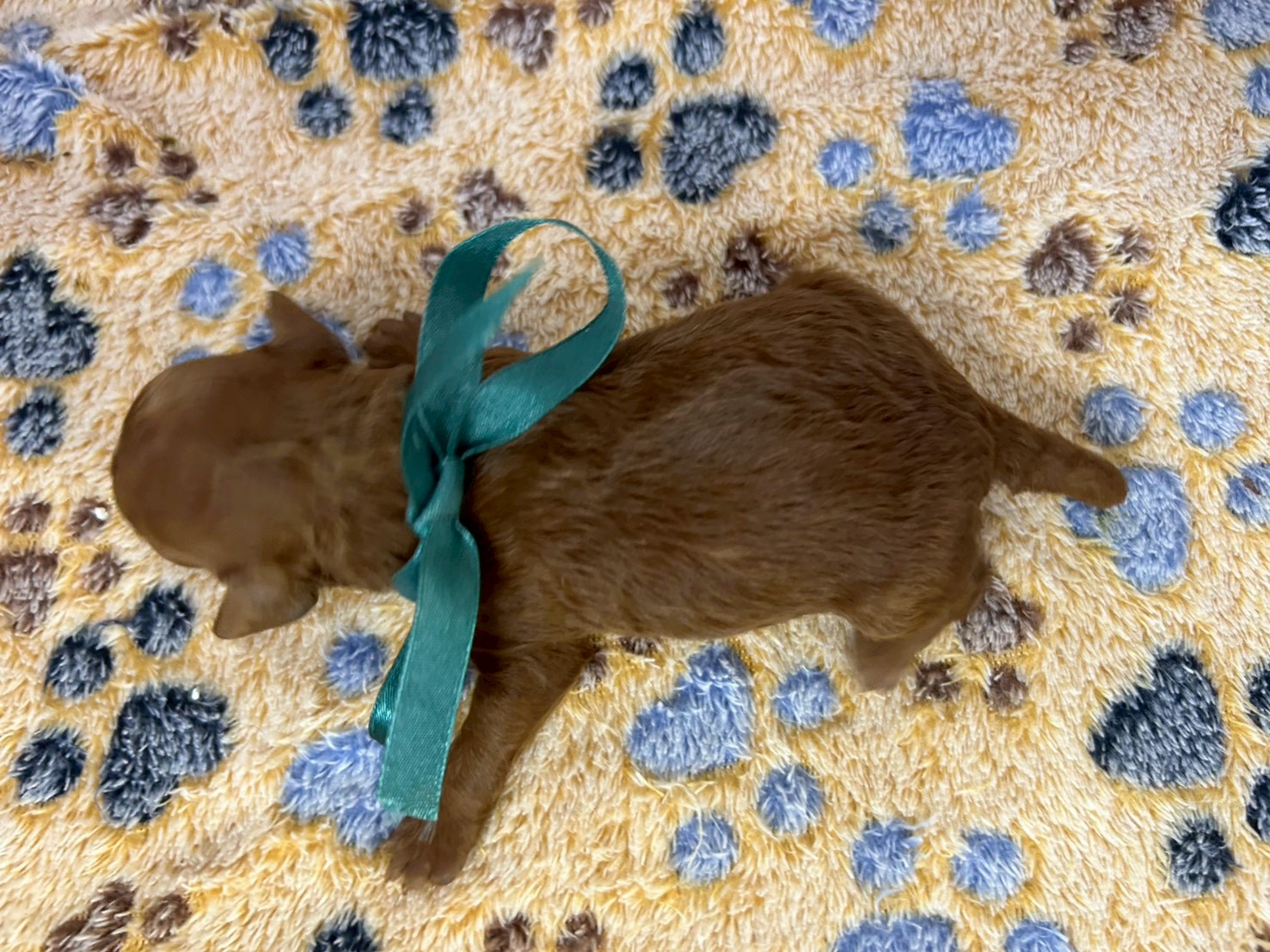 赤ちゃん写真1-3
