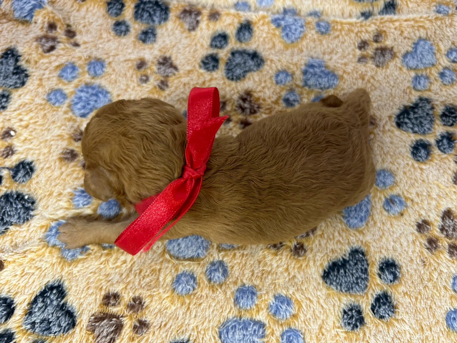 赤ちゃん写真1-3