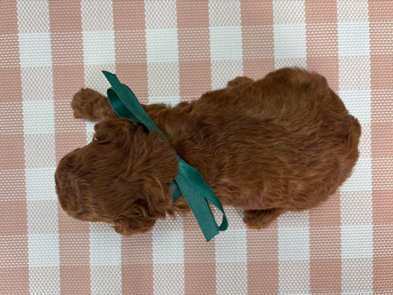 赤ちゃん写真2-3