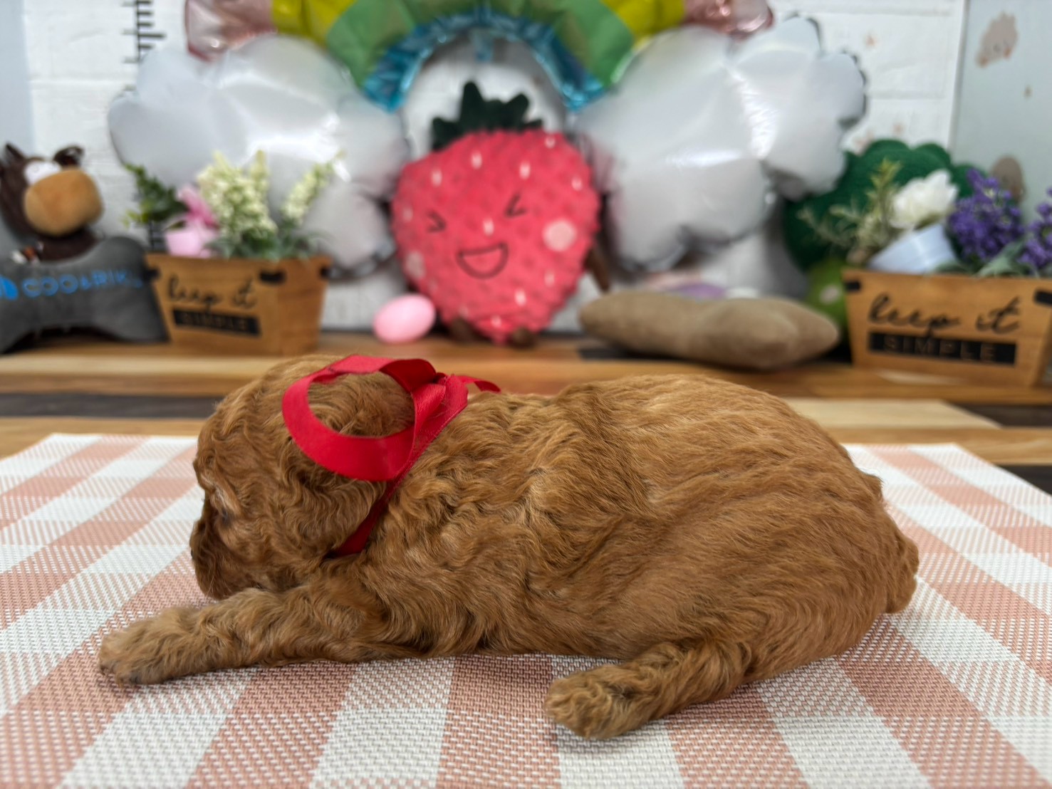 赤ちゃん写真2-2
