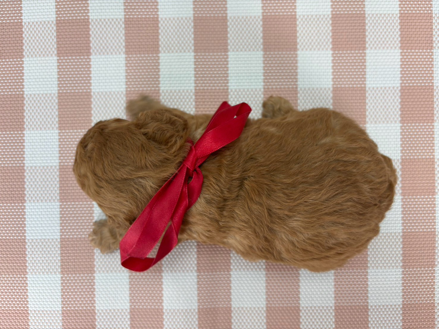 赤ちゃん写真2-3