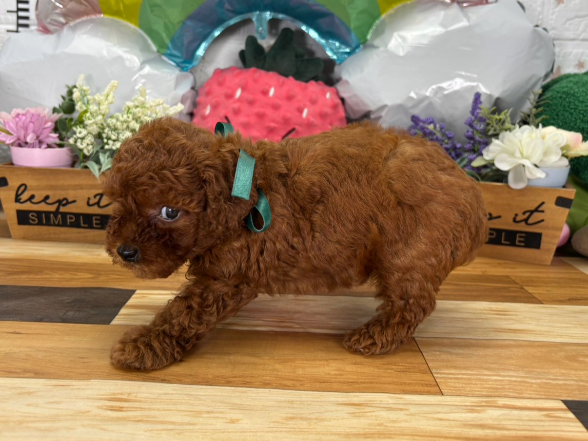 赤ちゃん写真3-2