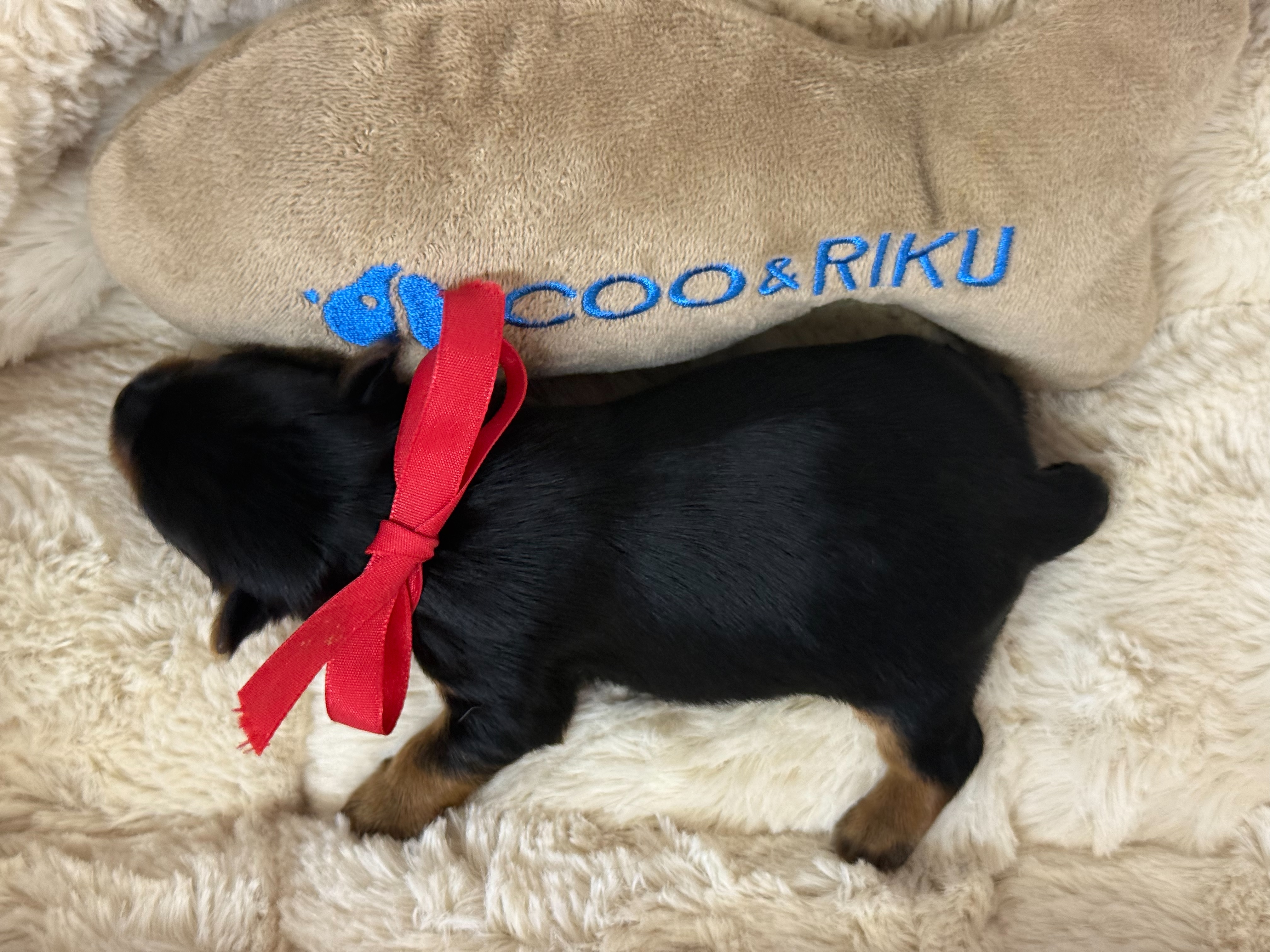 赤ちゃん写真1-3