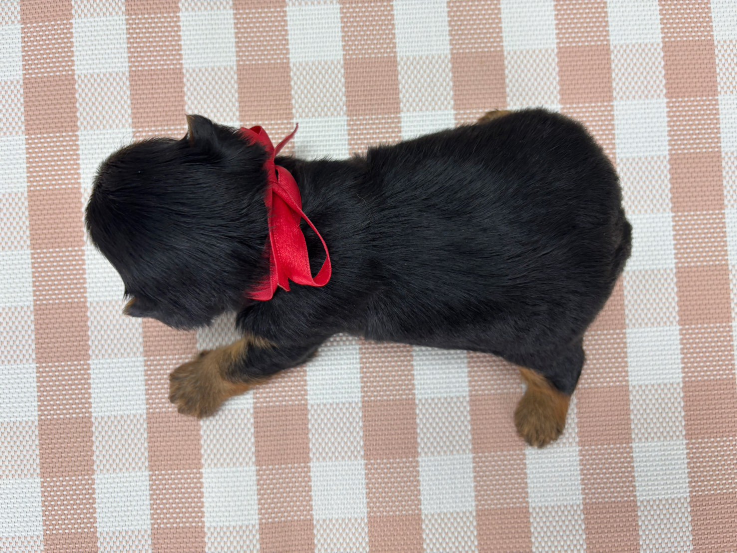 赤ちゃん写真2-3