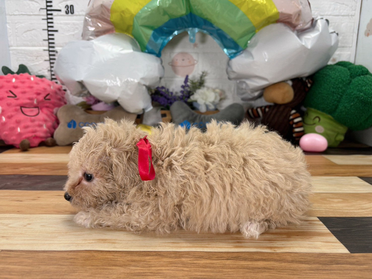 赤ちゃん写真3-2