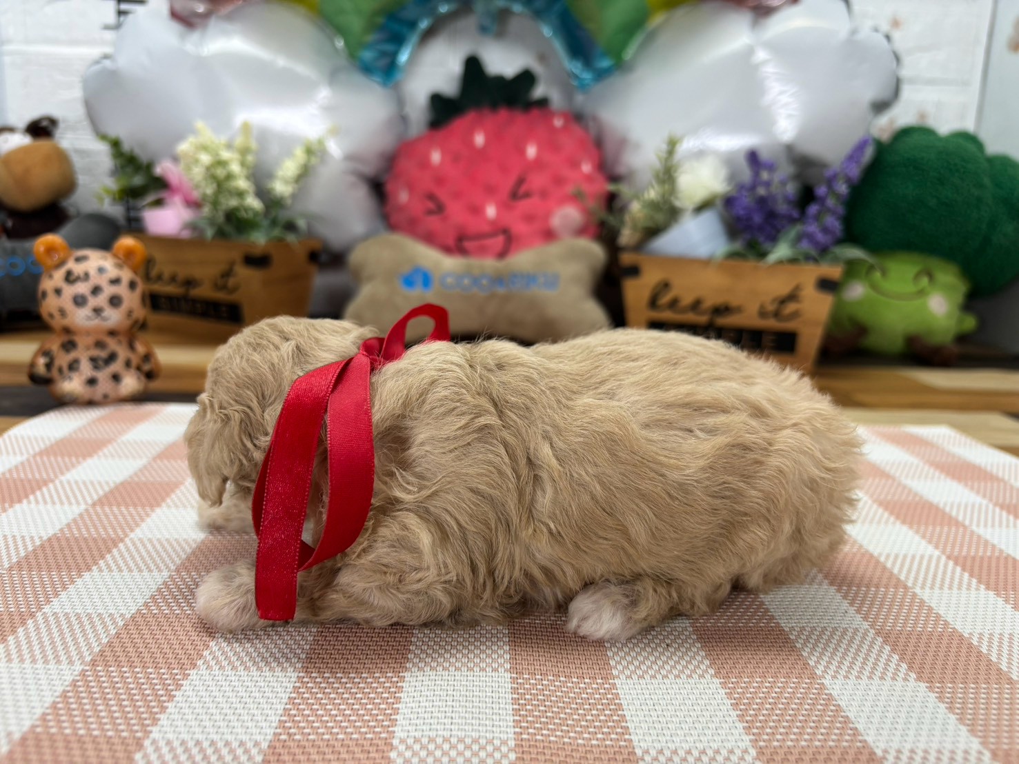 赤ちゃん写真2-2