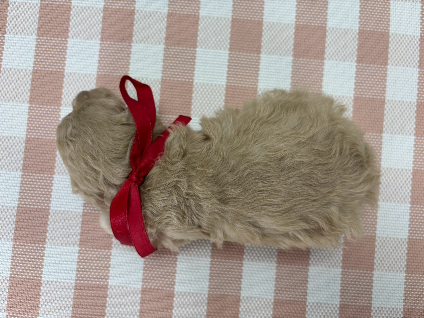 赤ちゃん写真2-3