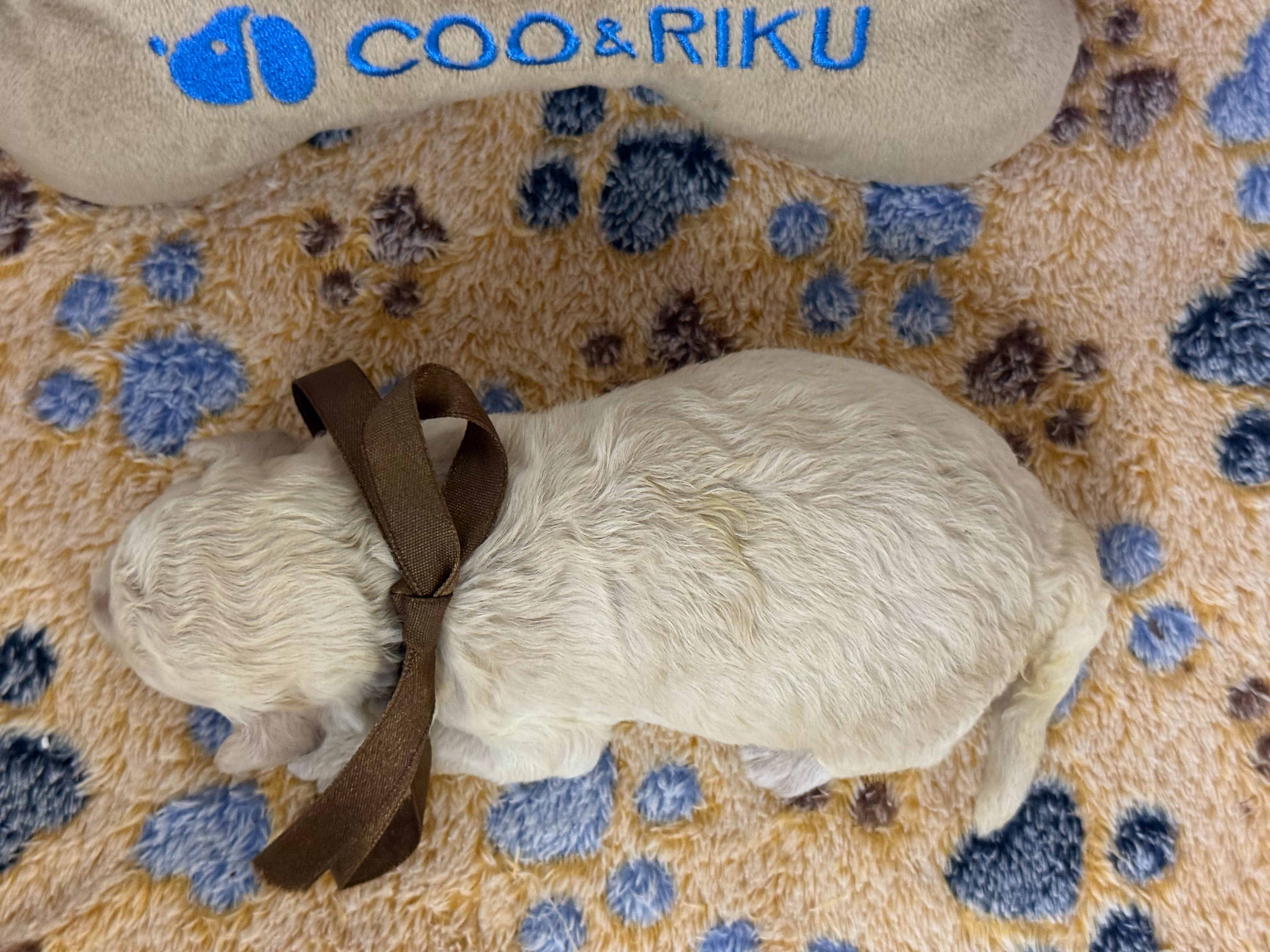 赤ちゃん写真1-3