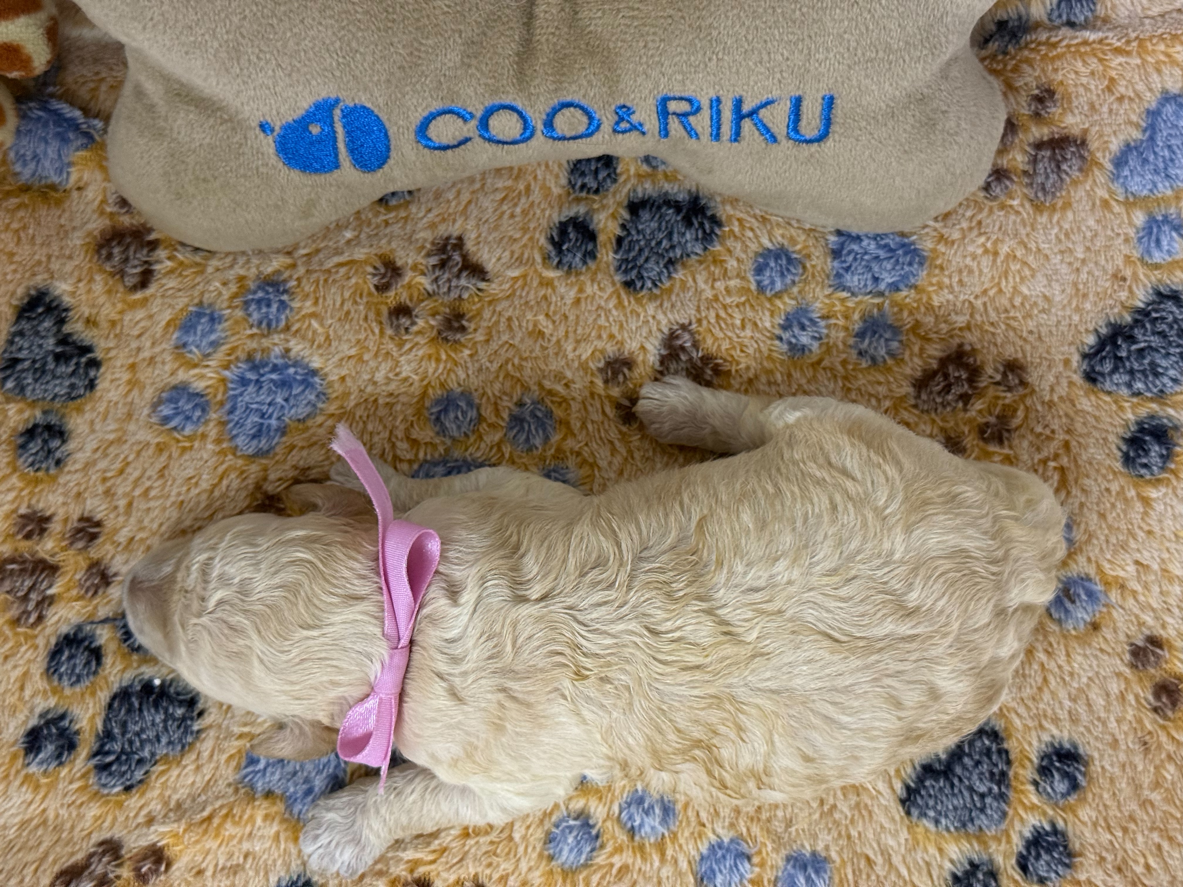 赤ちゃん写真1-3