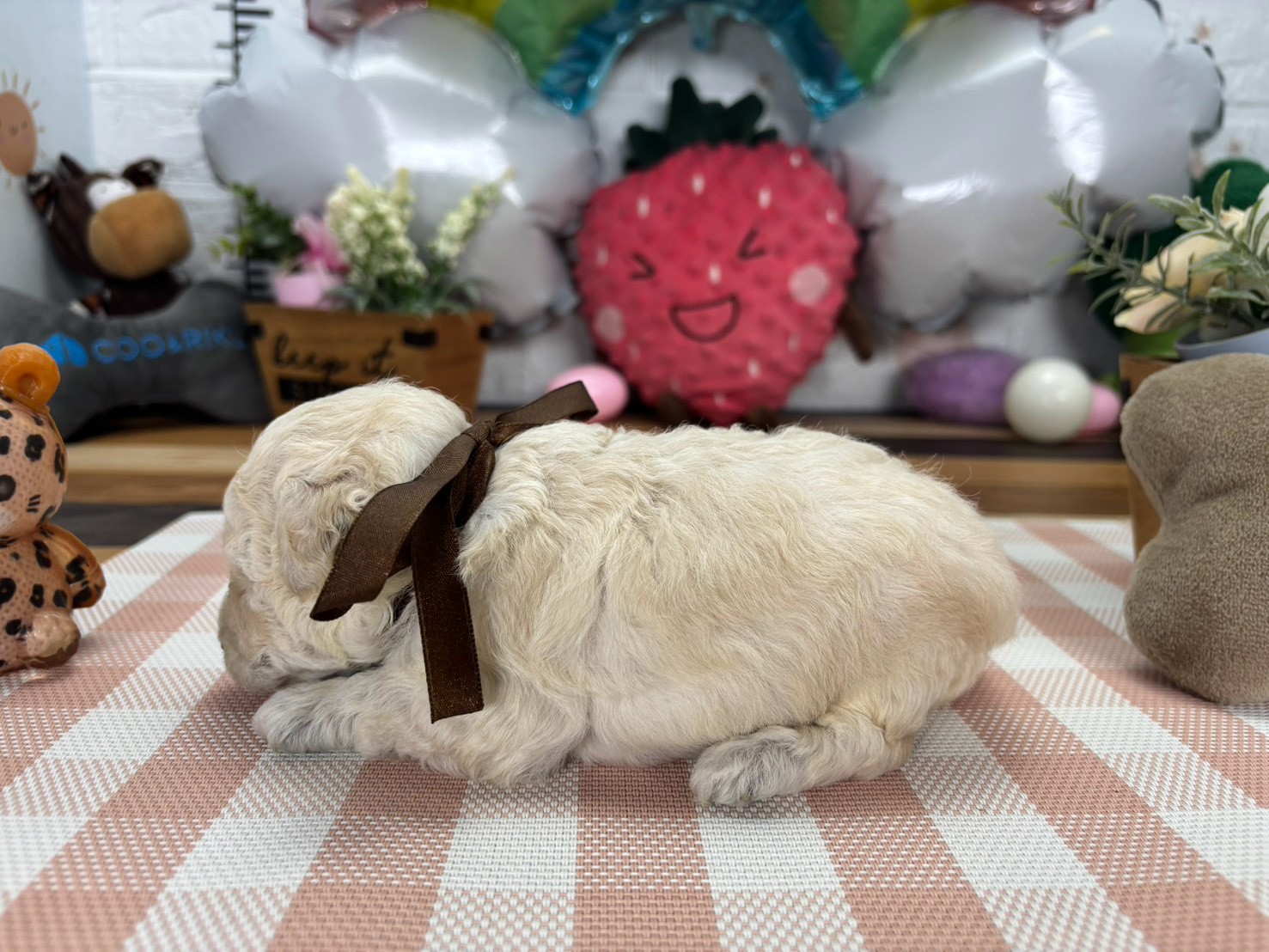 赤ちゃん写真2-2