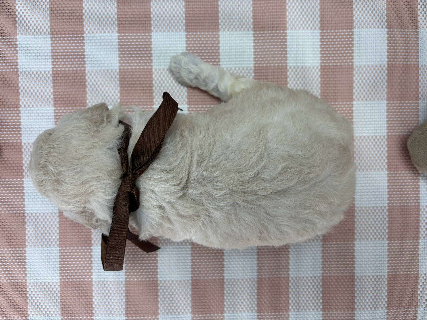 赤ちゃん写真2-3