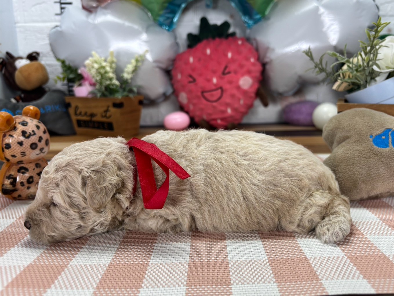 赤ちゃん写真2-2