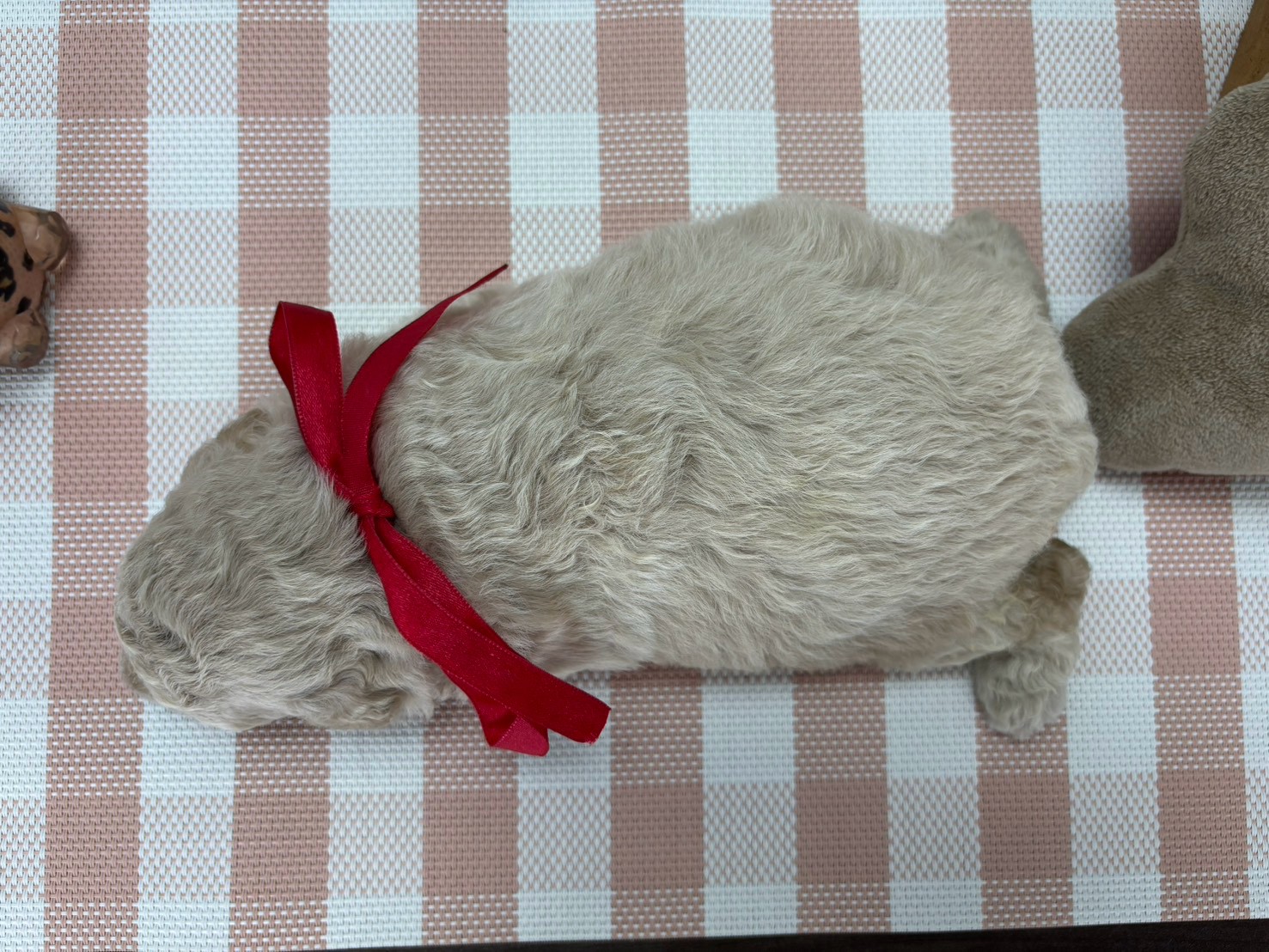 赤ちゃん写真2-3