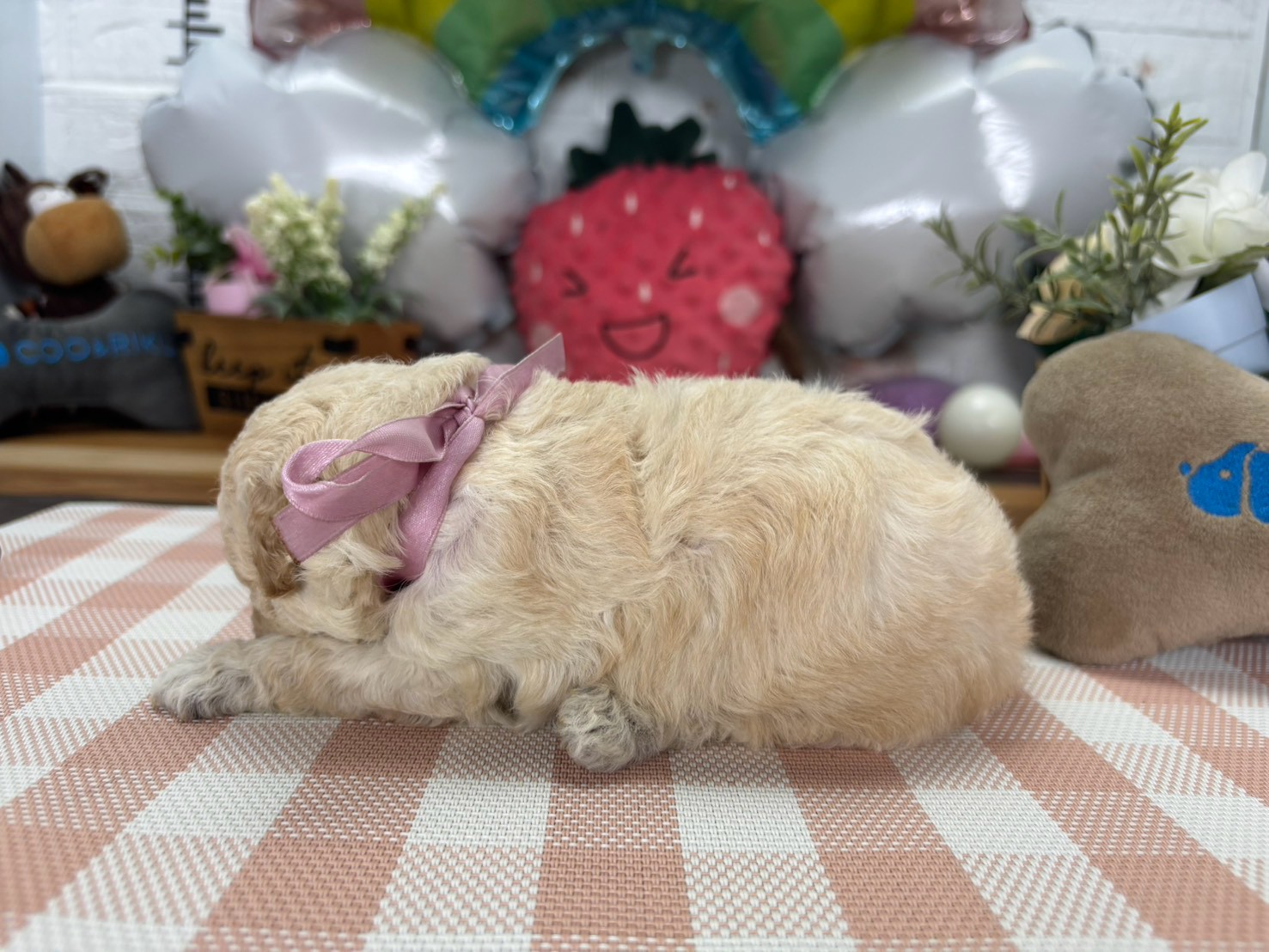 赤ちゃん写真2-2