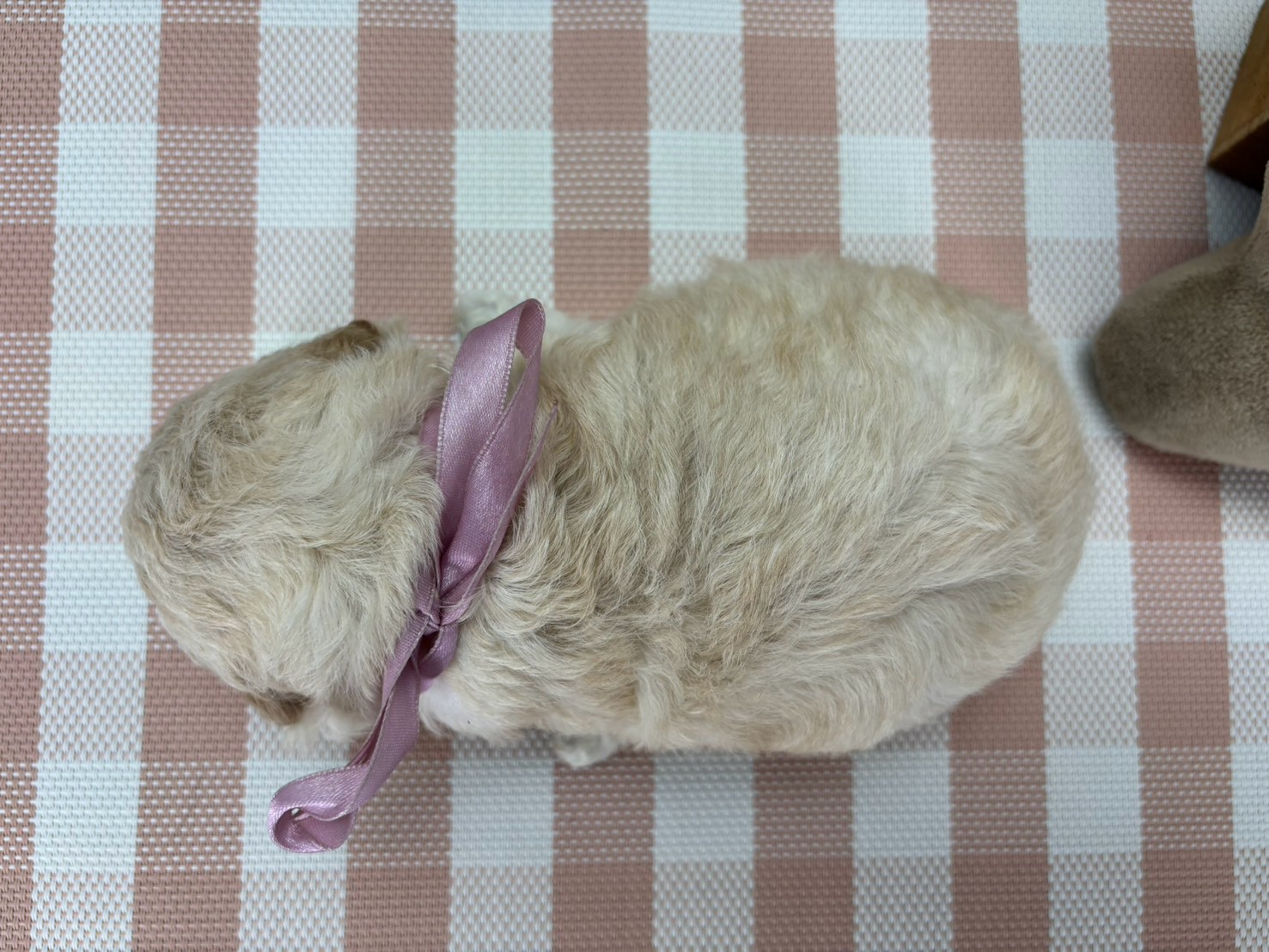 赤ちゃん写真2-3