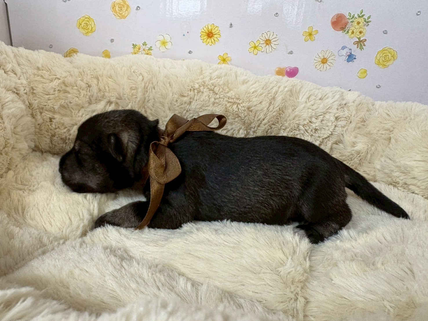 赤ちゃん写真1-2