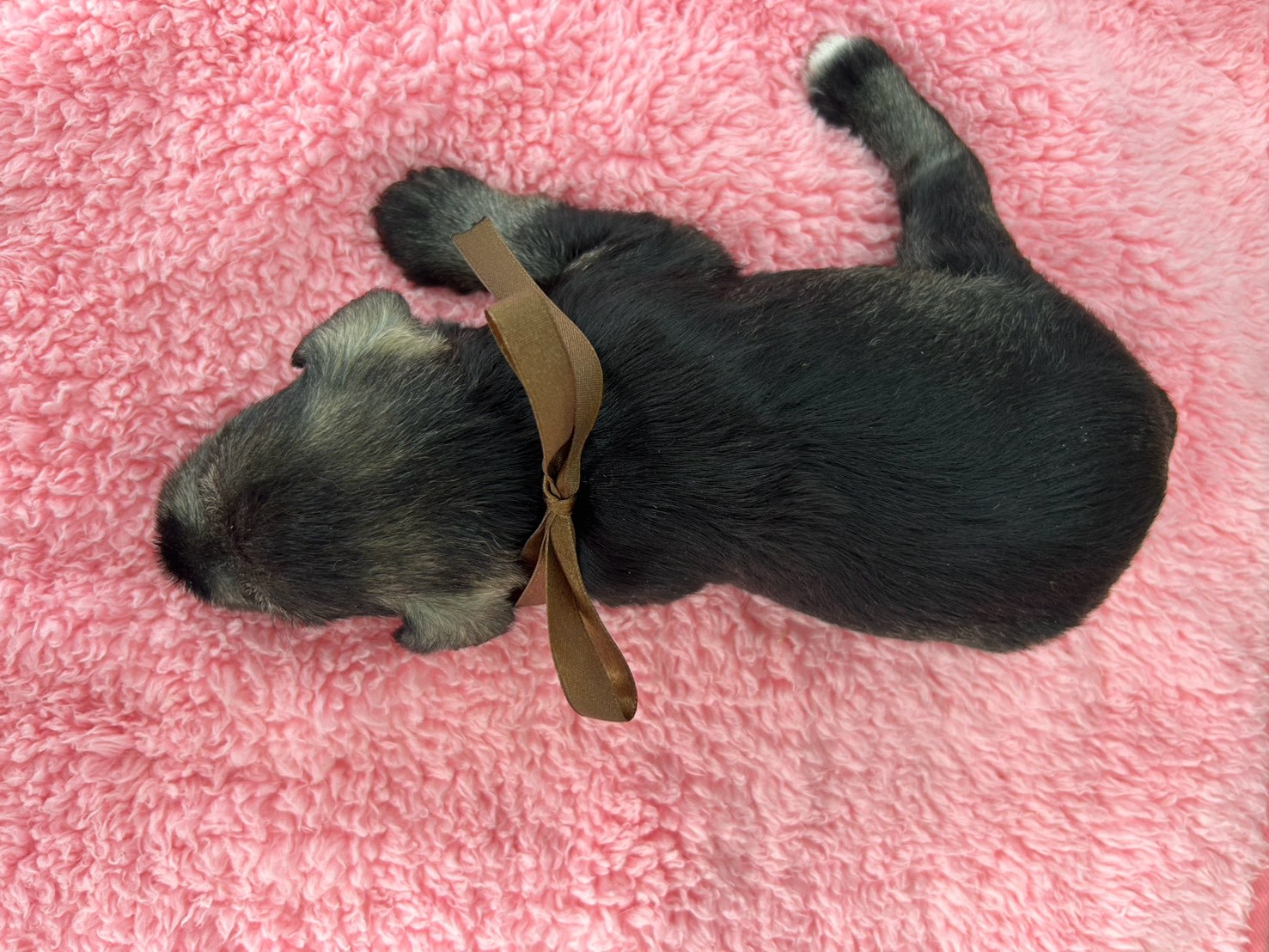 赤ちゃん写真2-3