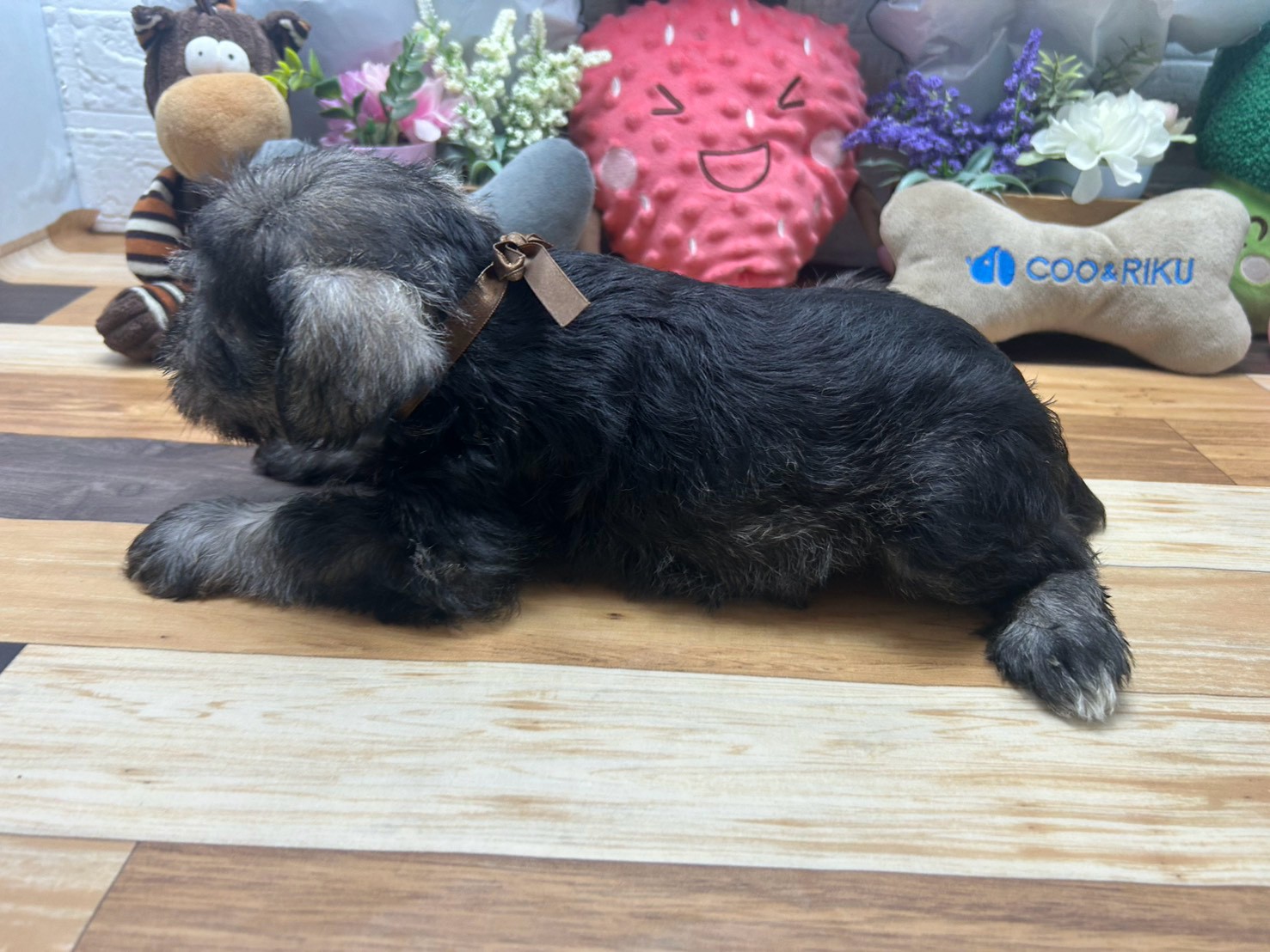 赤ちゃん写真3-2