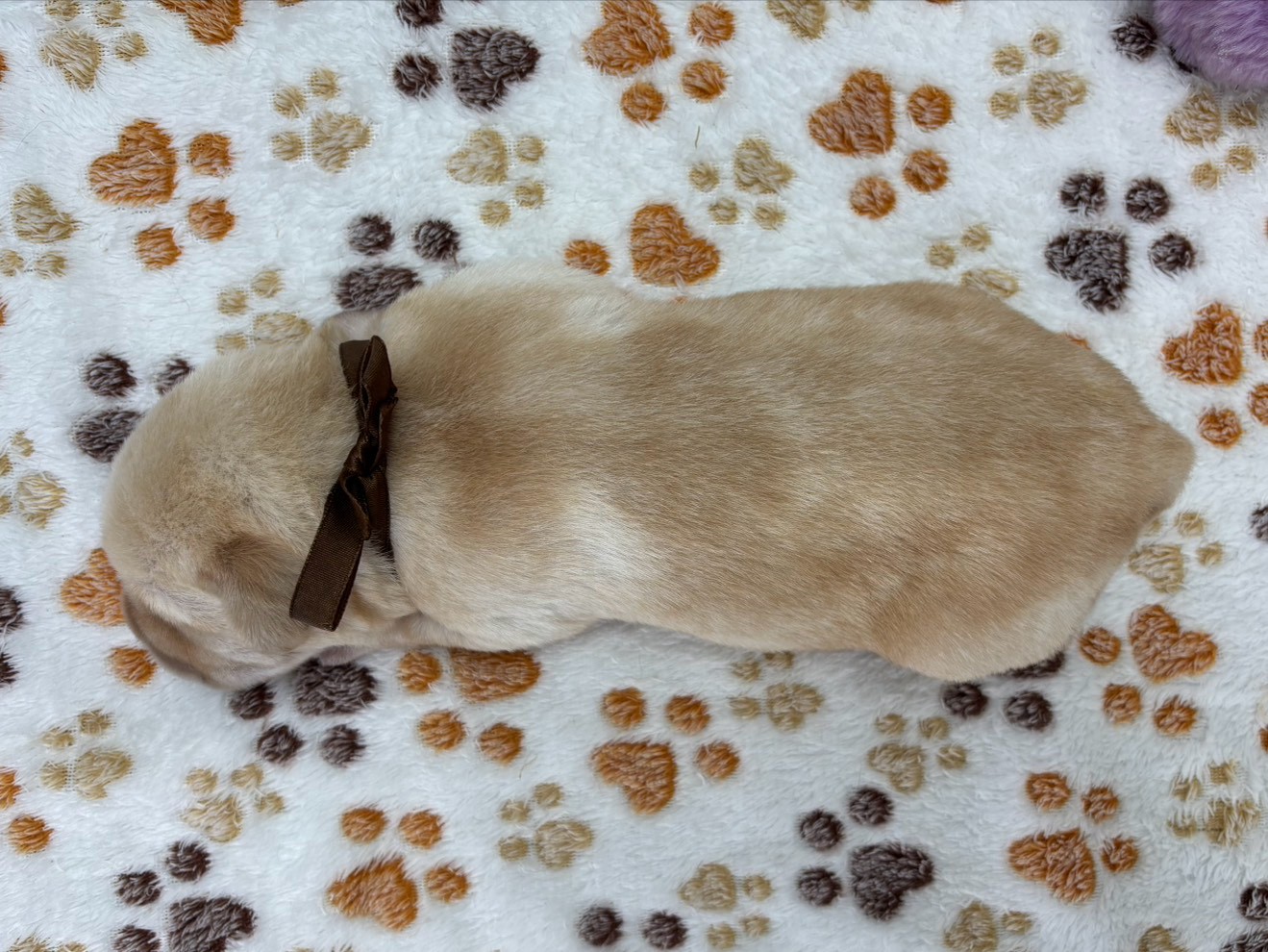 赤ちゃん写真1-3