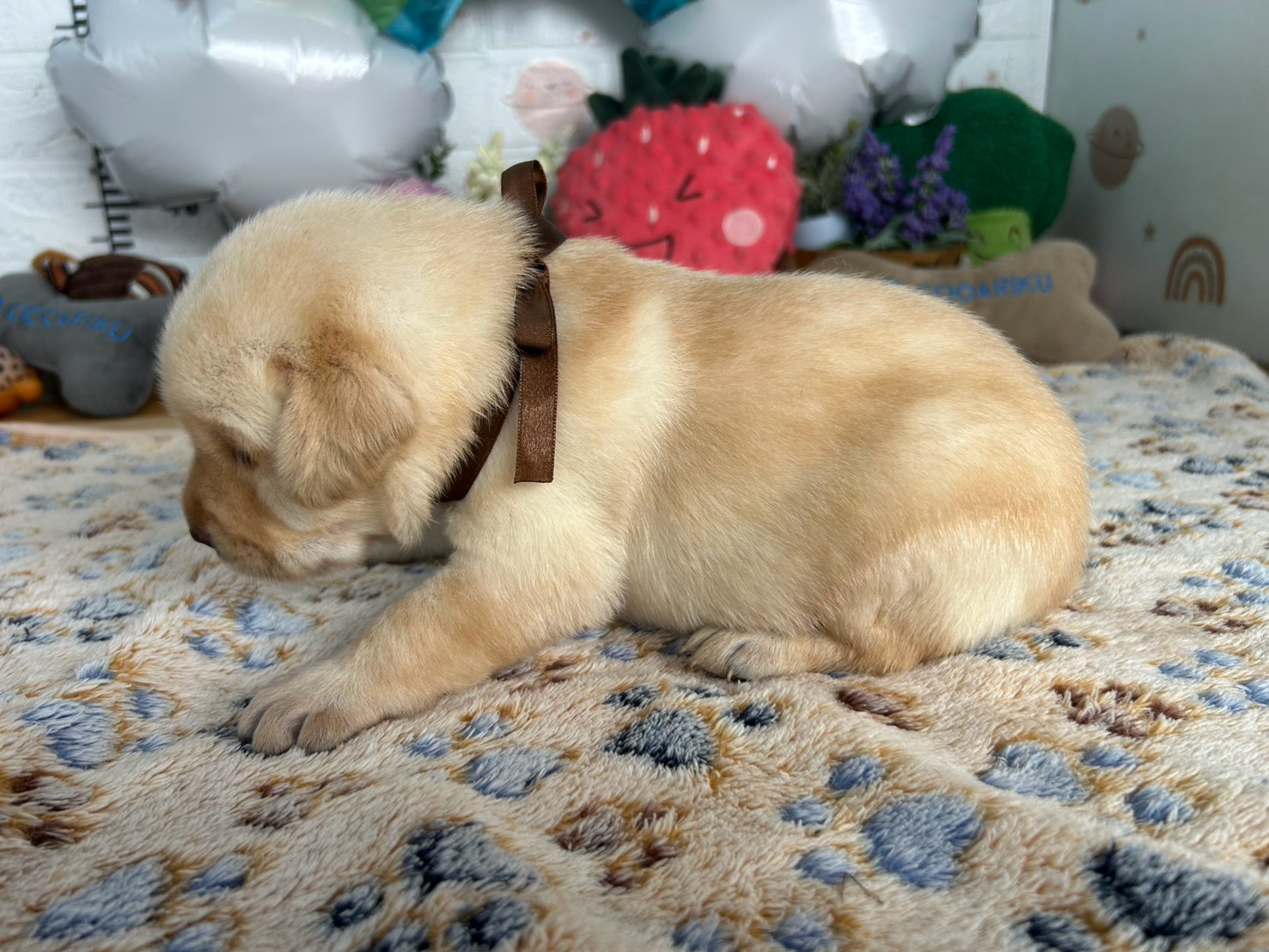 赤ちゃん写真2-2